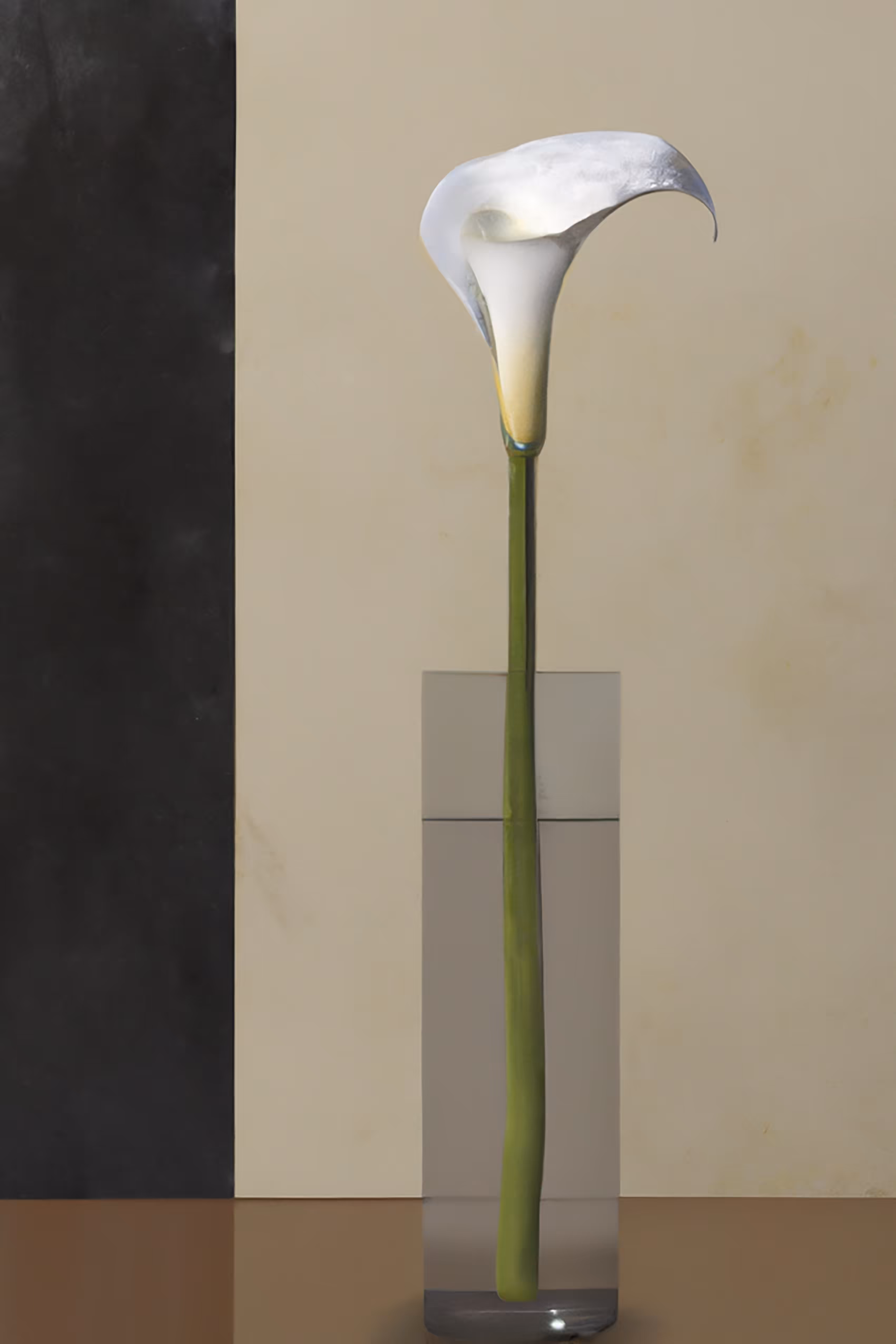 Nature Morte de Lys de Calla