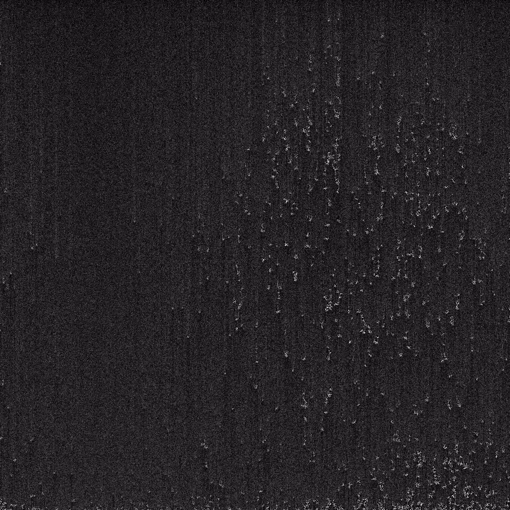 Noise #444 