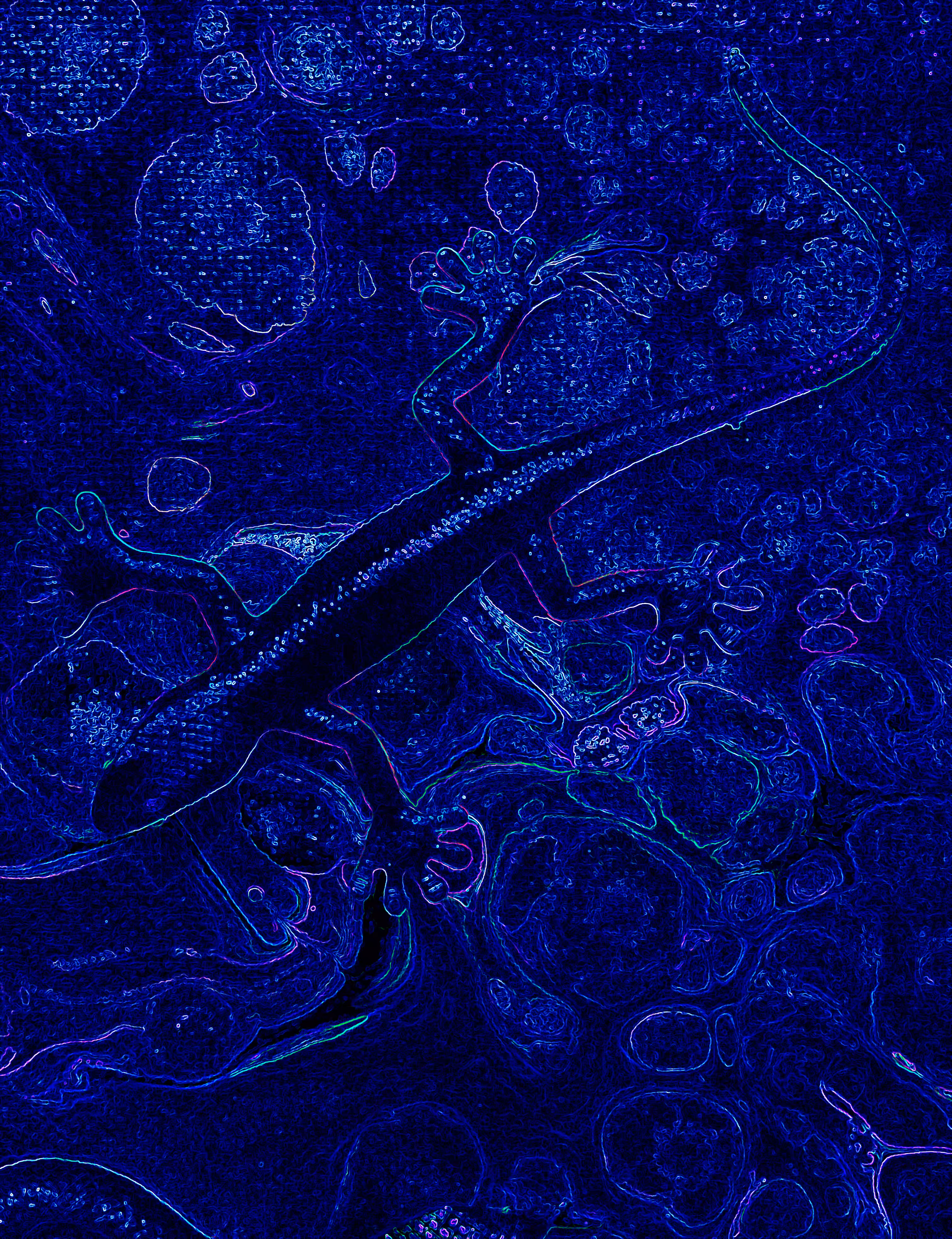 Neon Chameleon Blue   @ArtByLeClaireD1