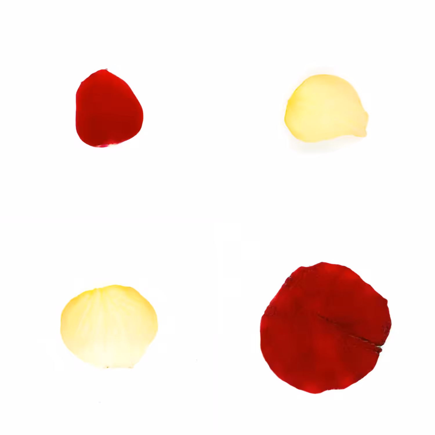 Infinite Petals 2x2#20123
