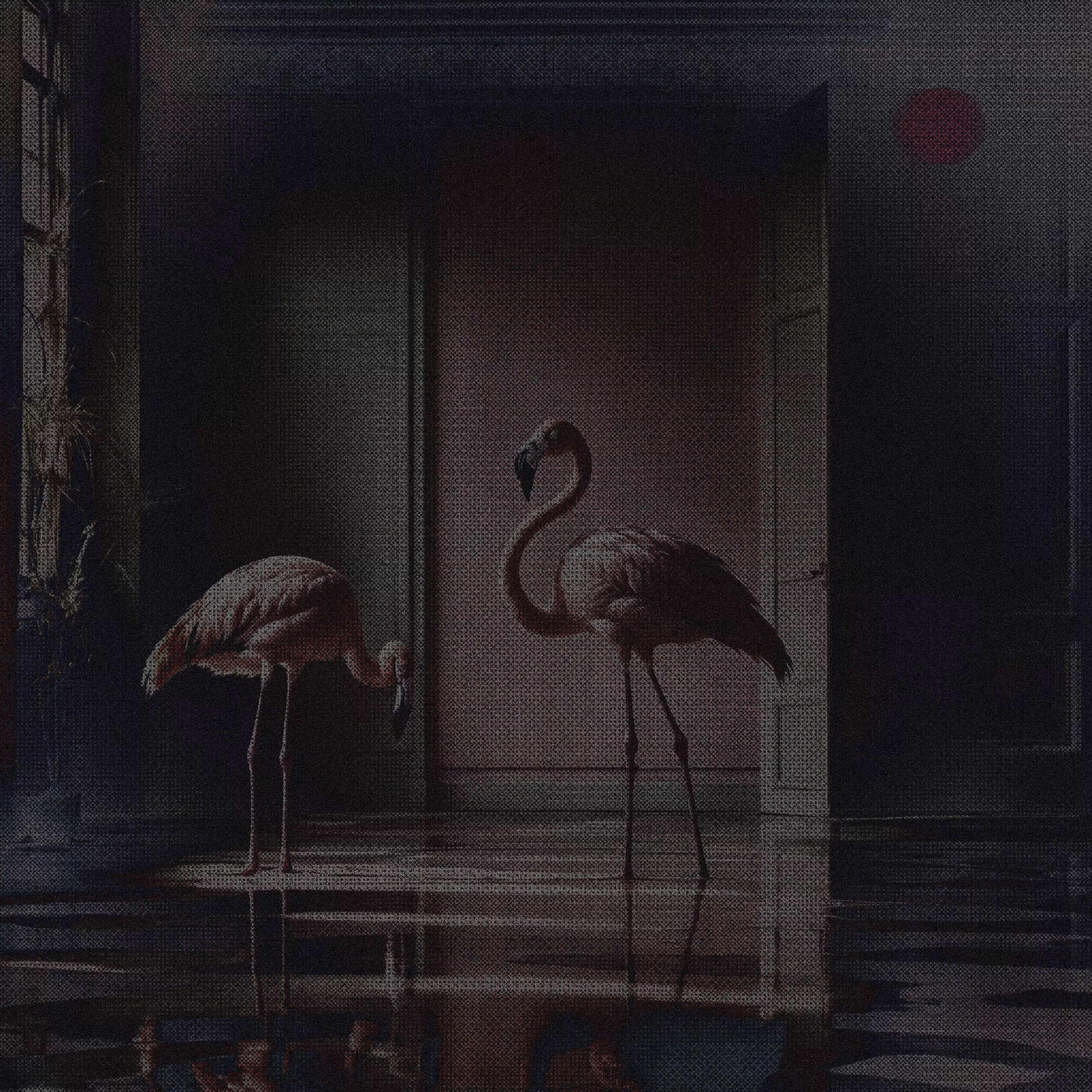 My Art over the time: Flamingos