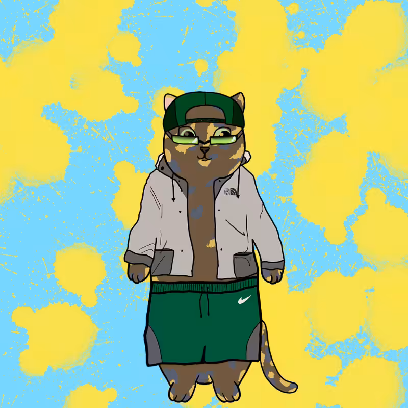 GATITOS #1
