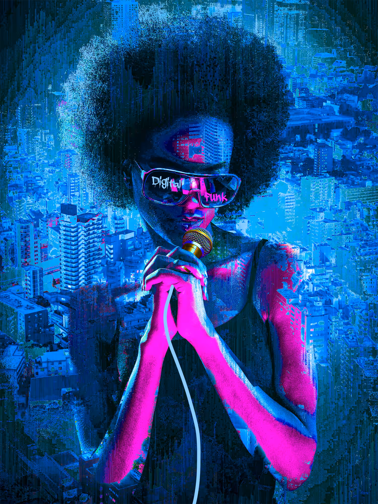 Digital Funk