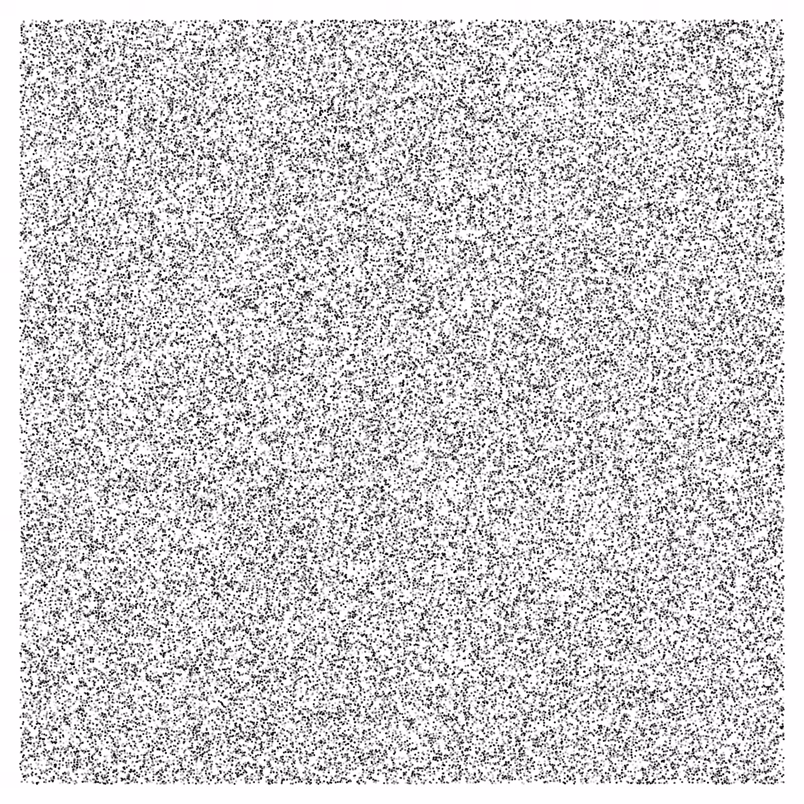 Noise #27
