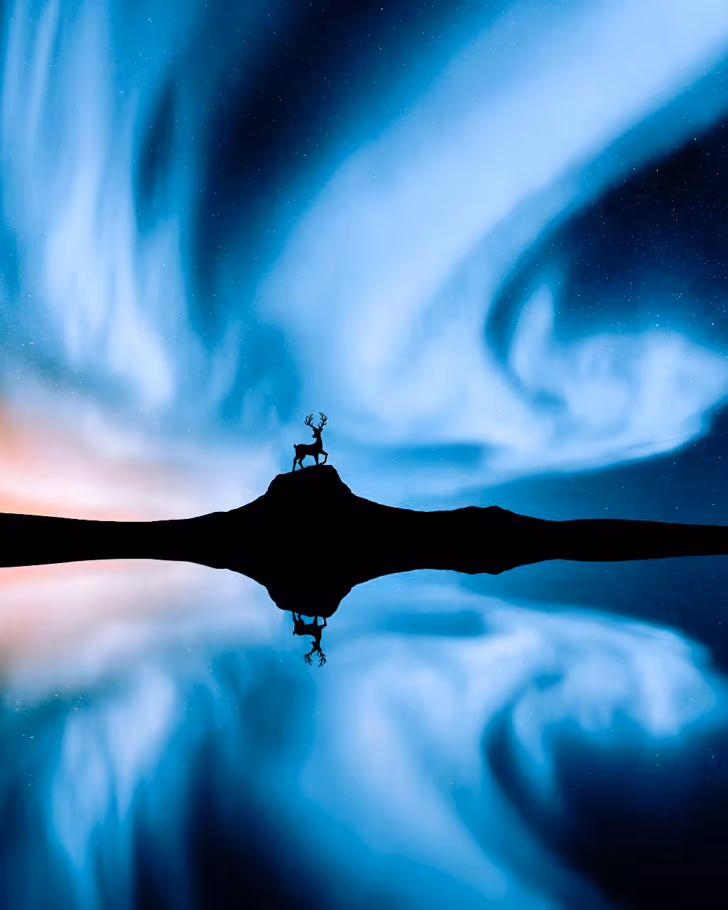 The Deer And Northern Lights