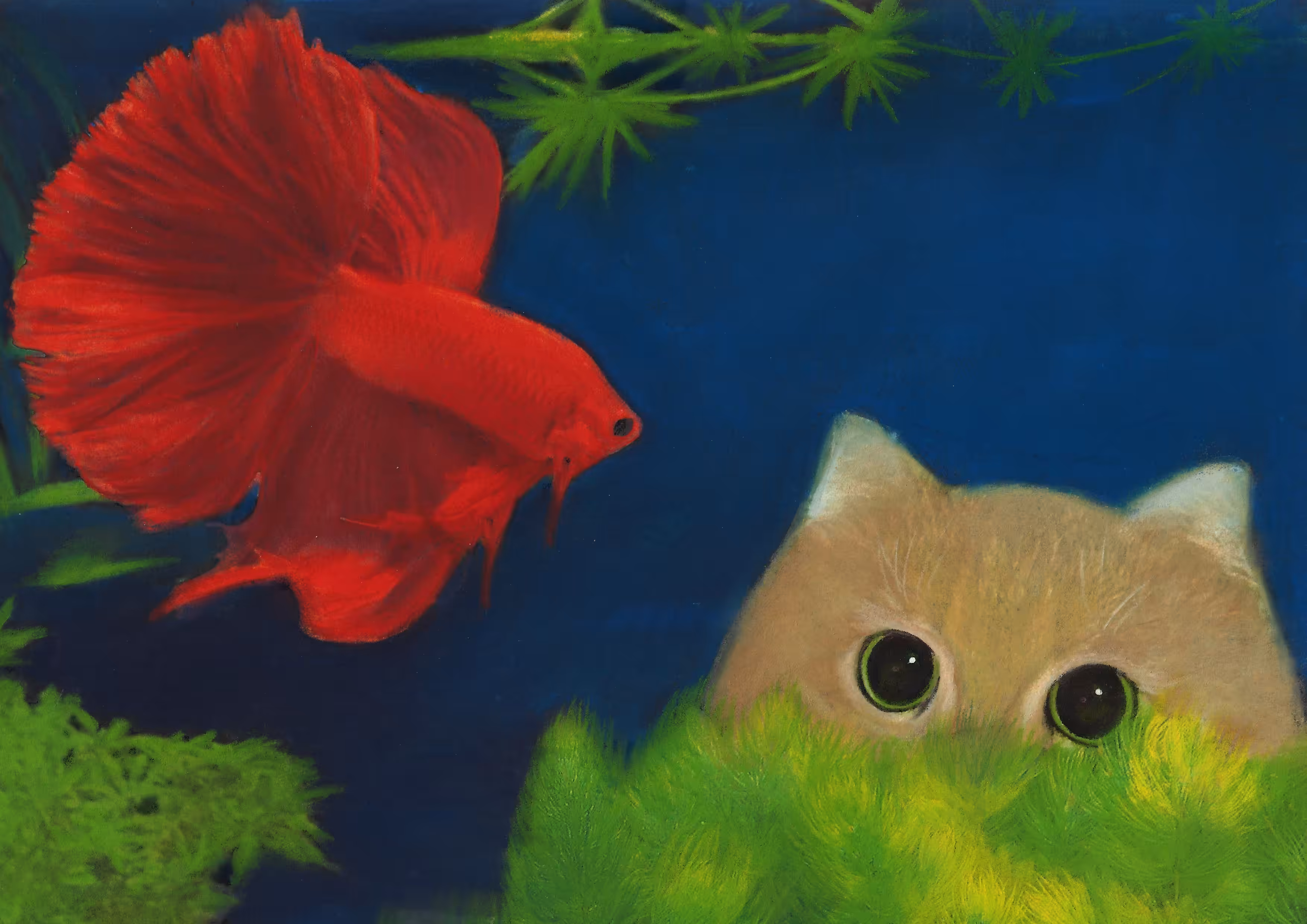 Aquarium 