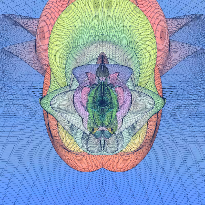 Zaratan #293
