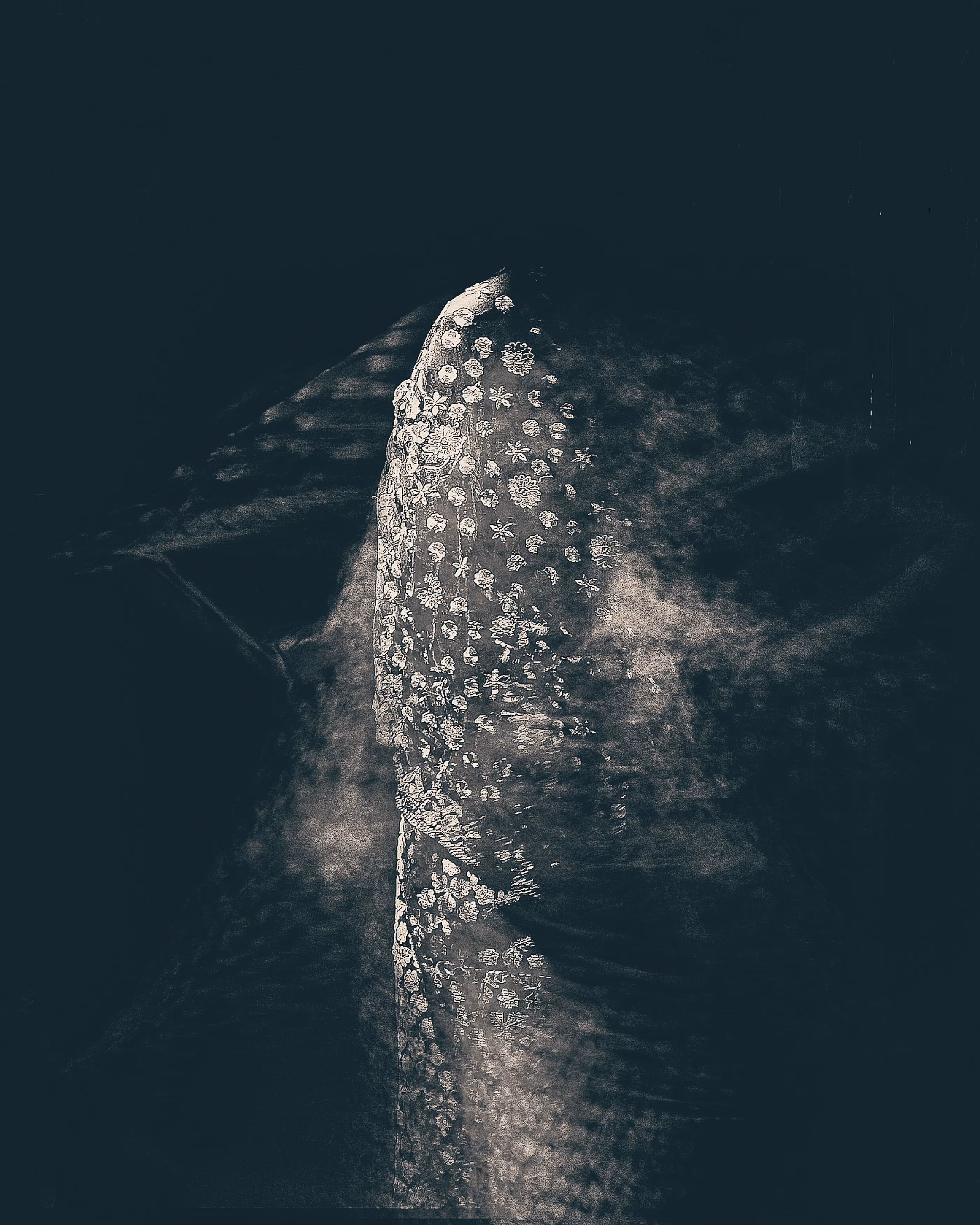Veil of the Vanished