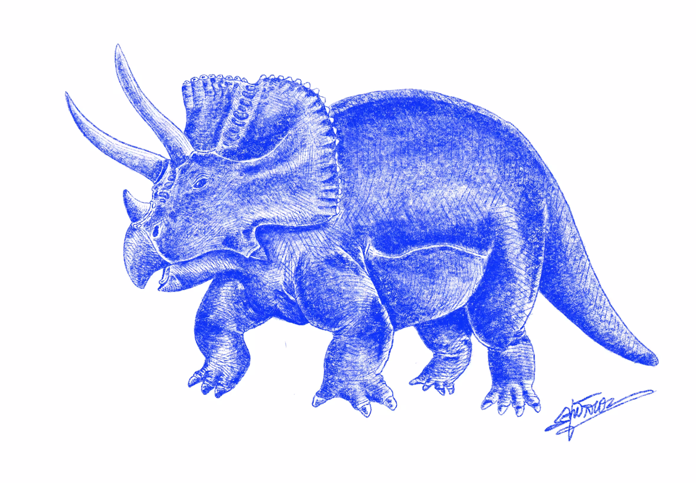 My Triceratops Super rare ver.