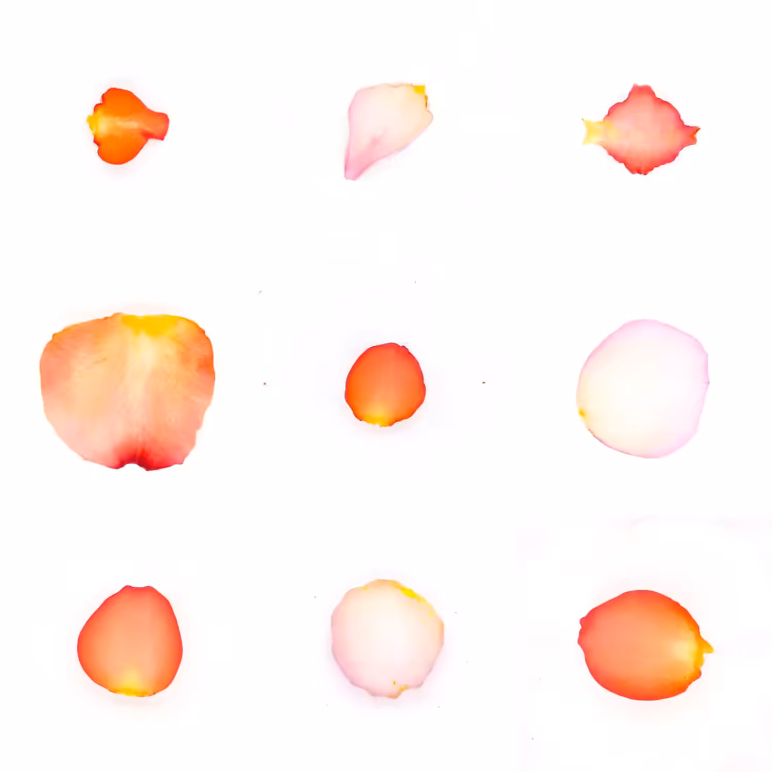Infinite Petals 3x3#3711