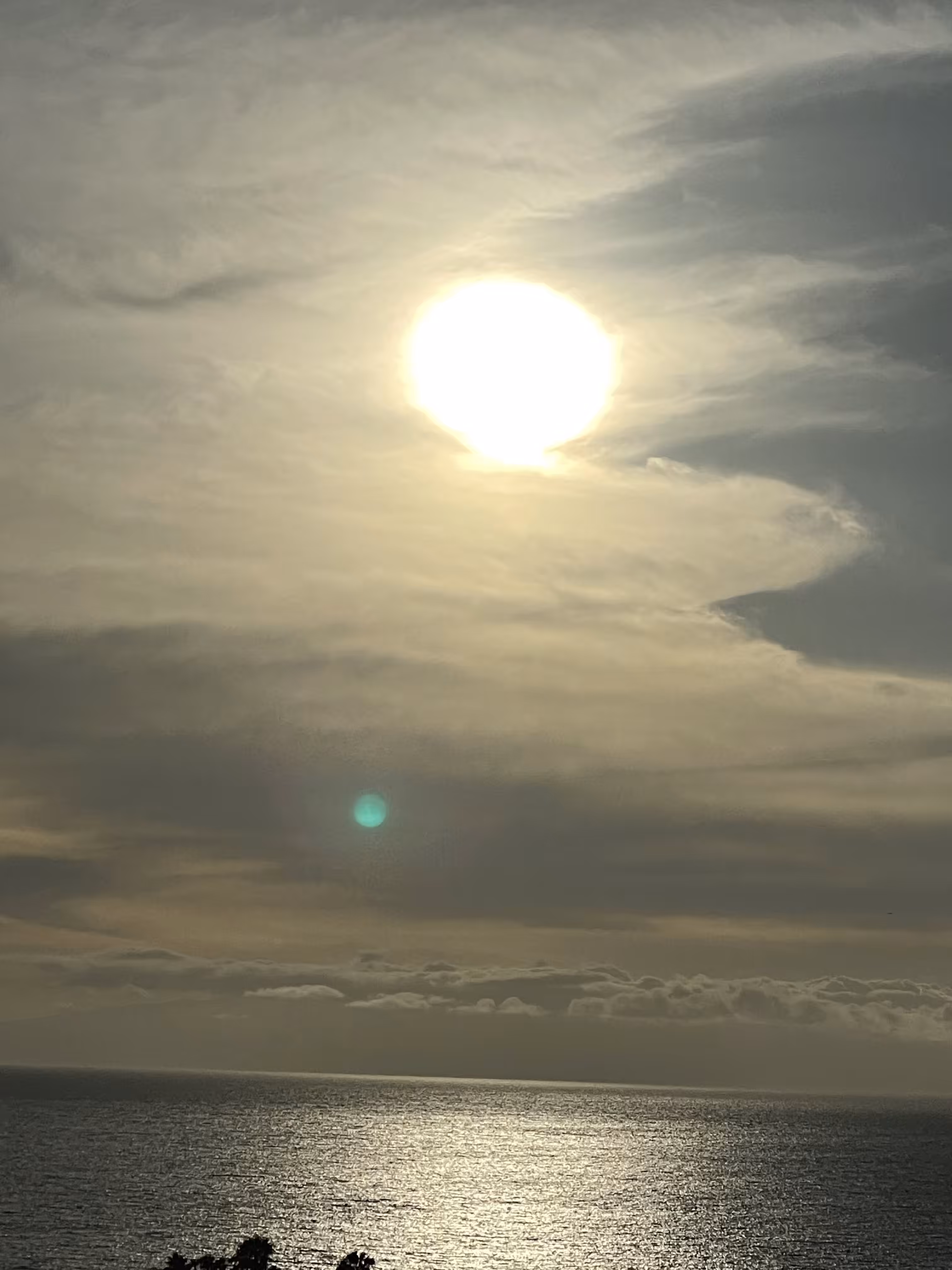 tenerife 5 
