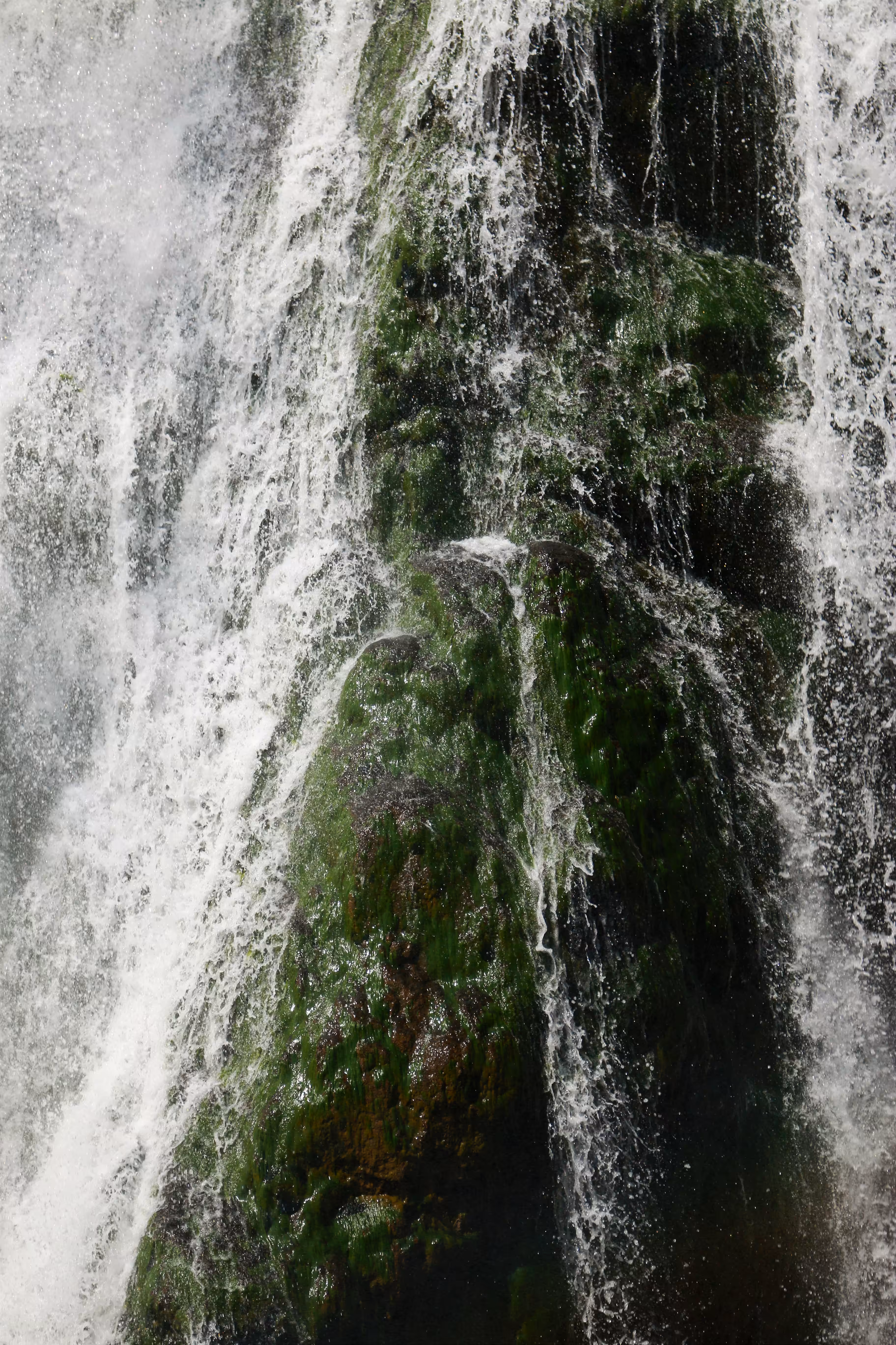 with the wind : Green waterfall