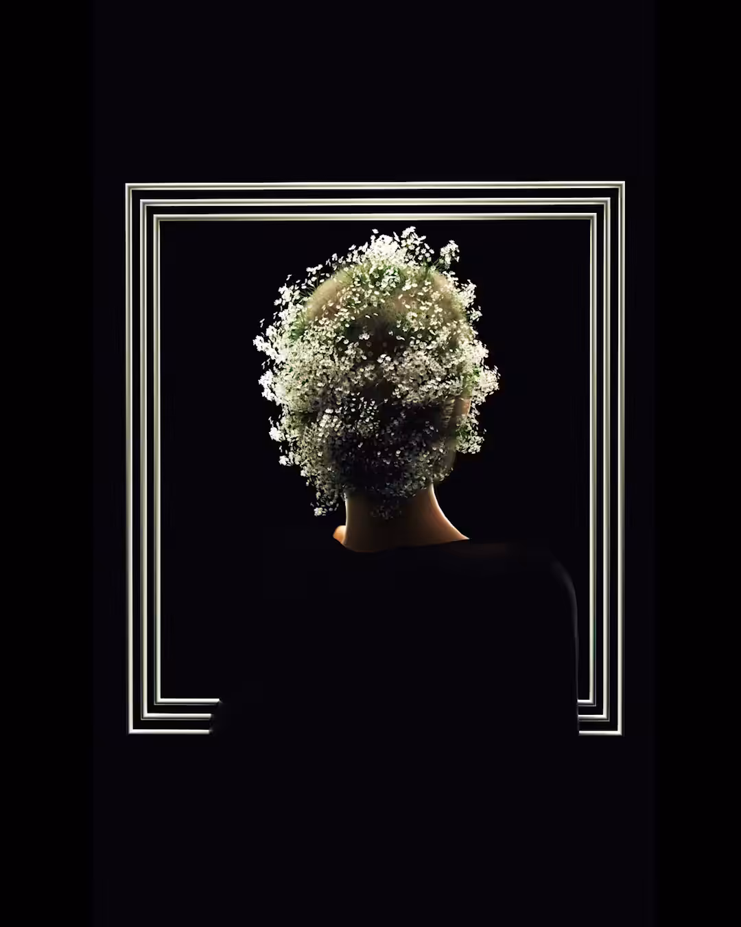 cover II