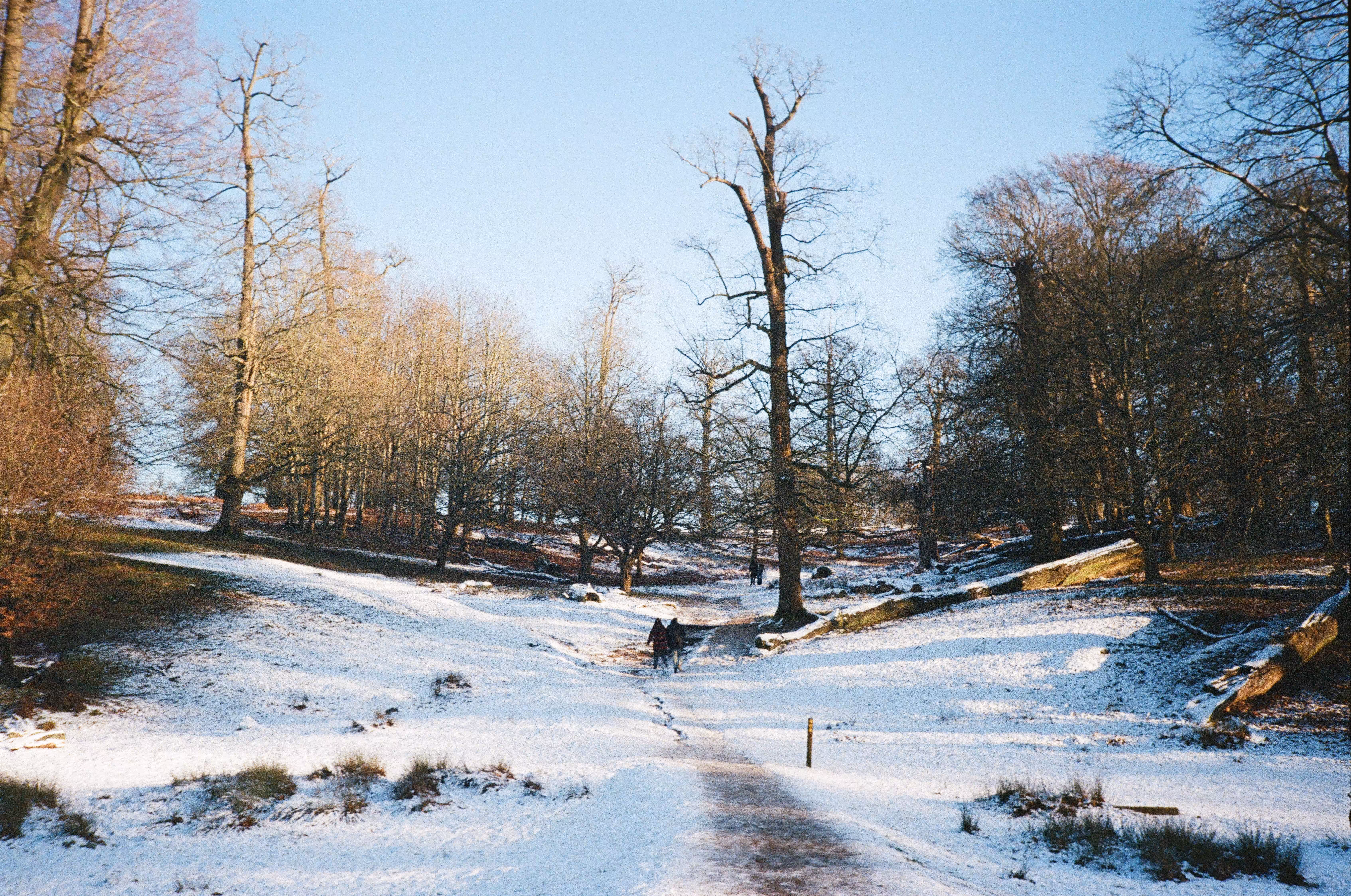 Snowy days on film part 2