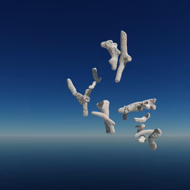 Bone Work (Gulf of Mexico) 2022 #110