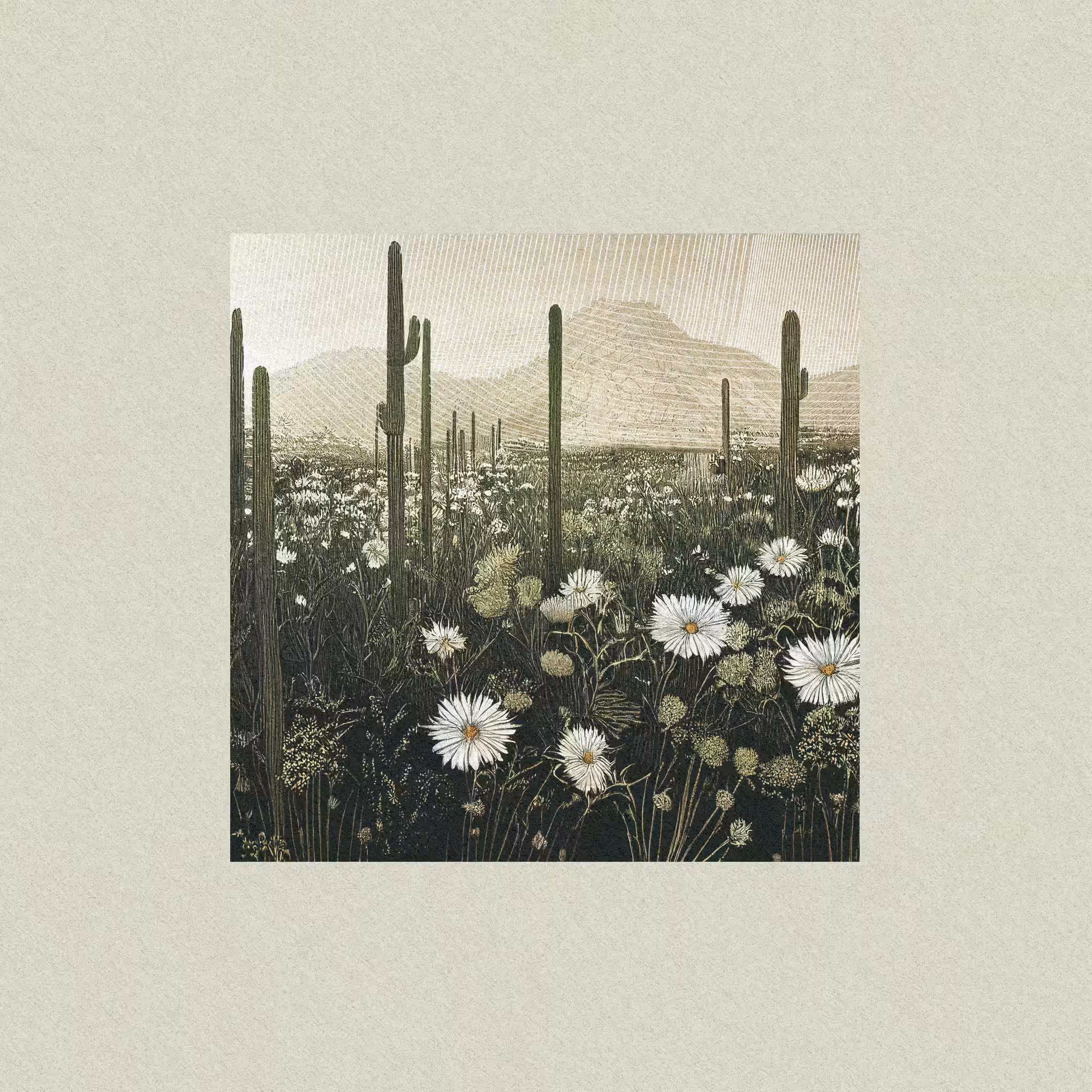 harmony · nature's fingerprint #4