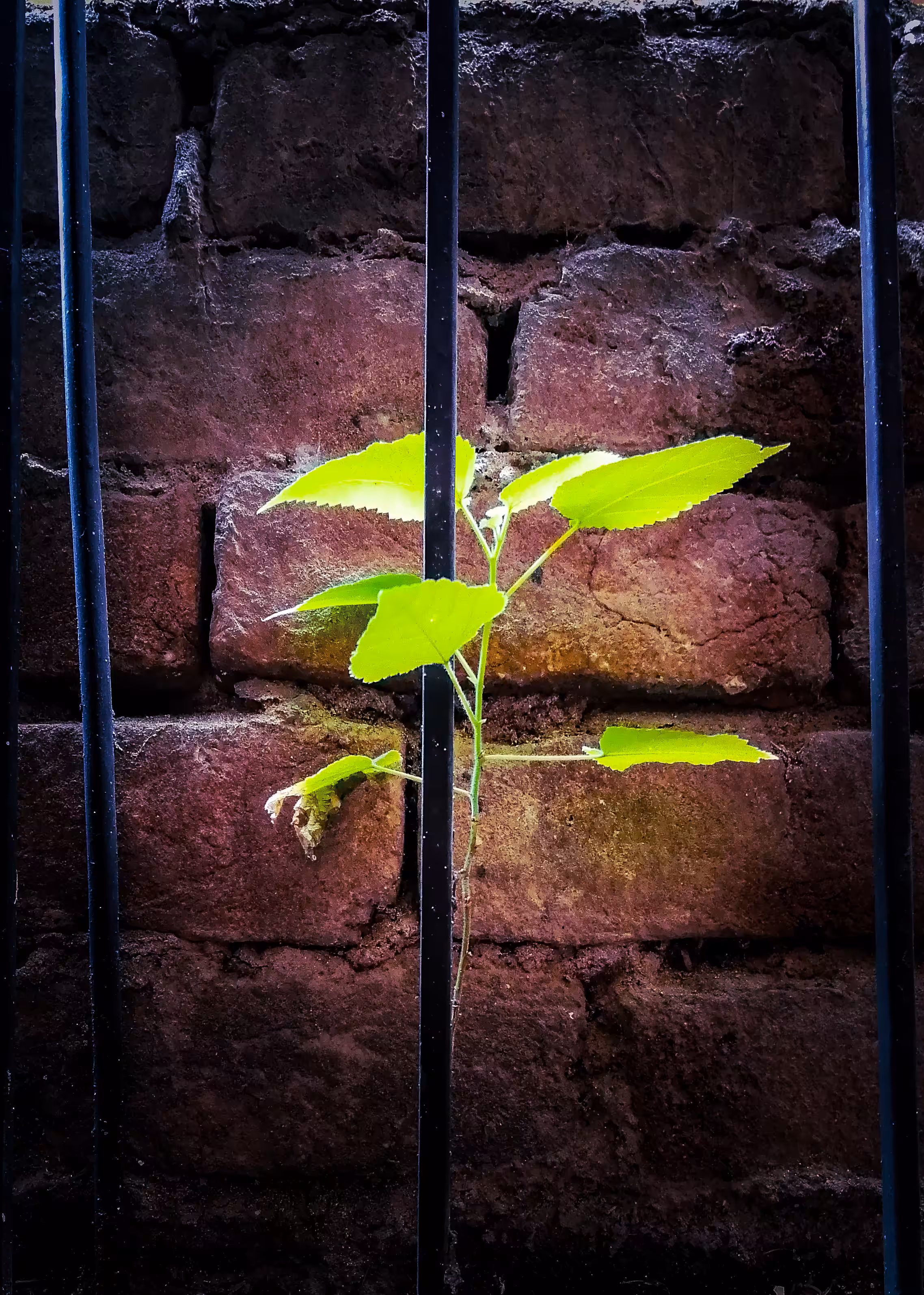 Magnificent Pakistan. ❤️: Life and Hope. ❤️🌿