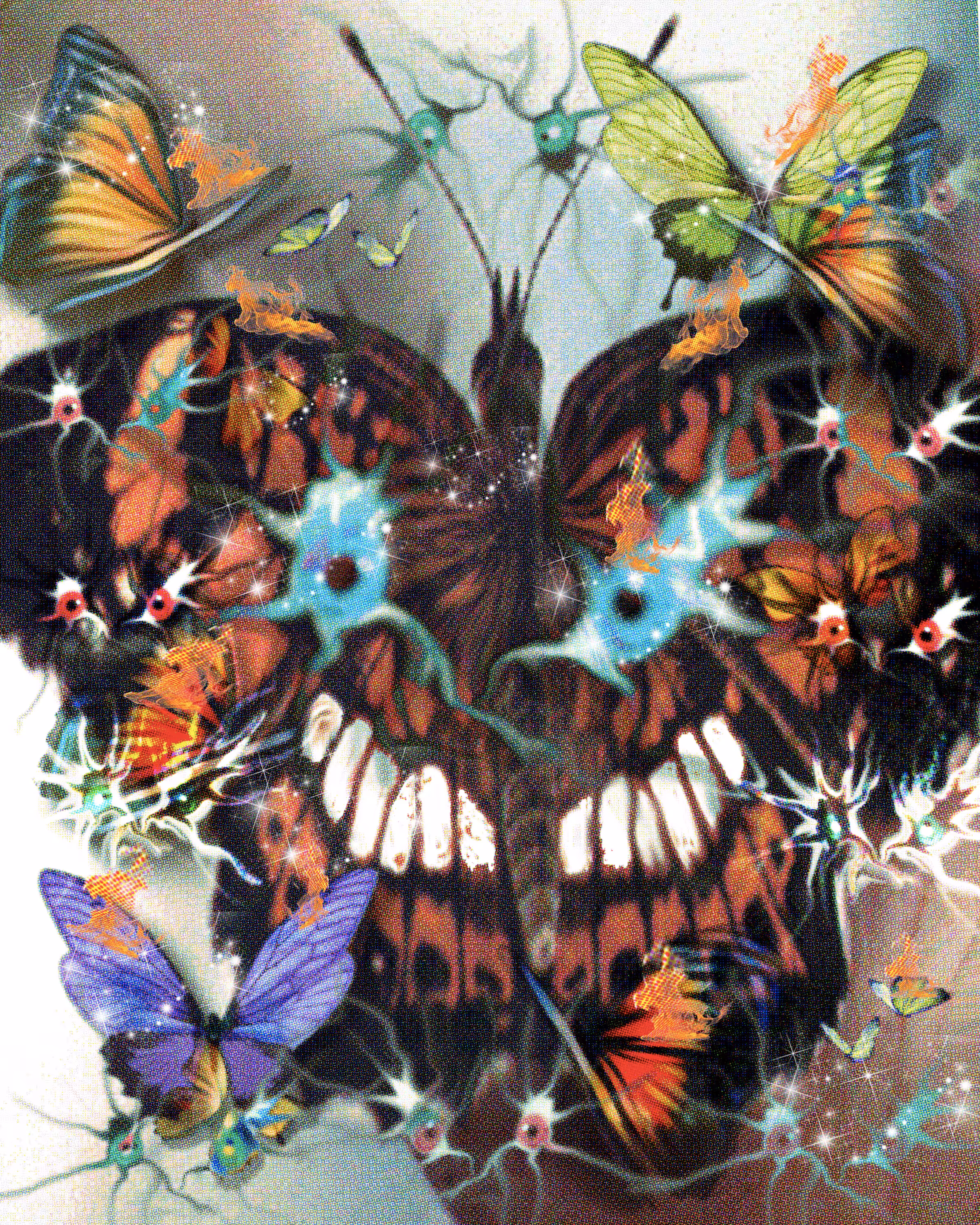 Butterfleye