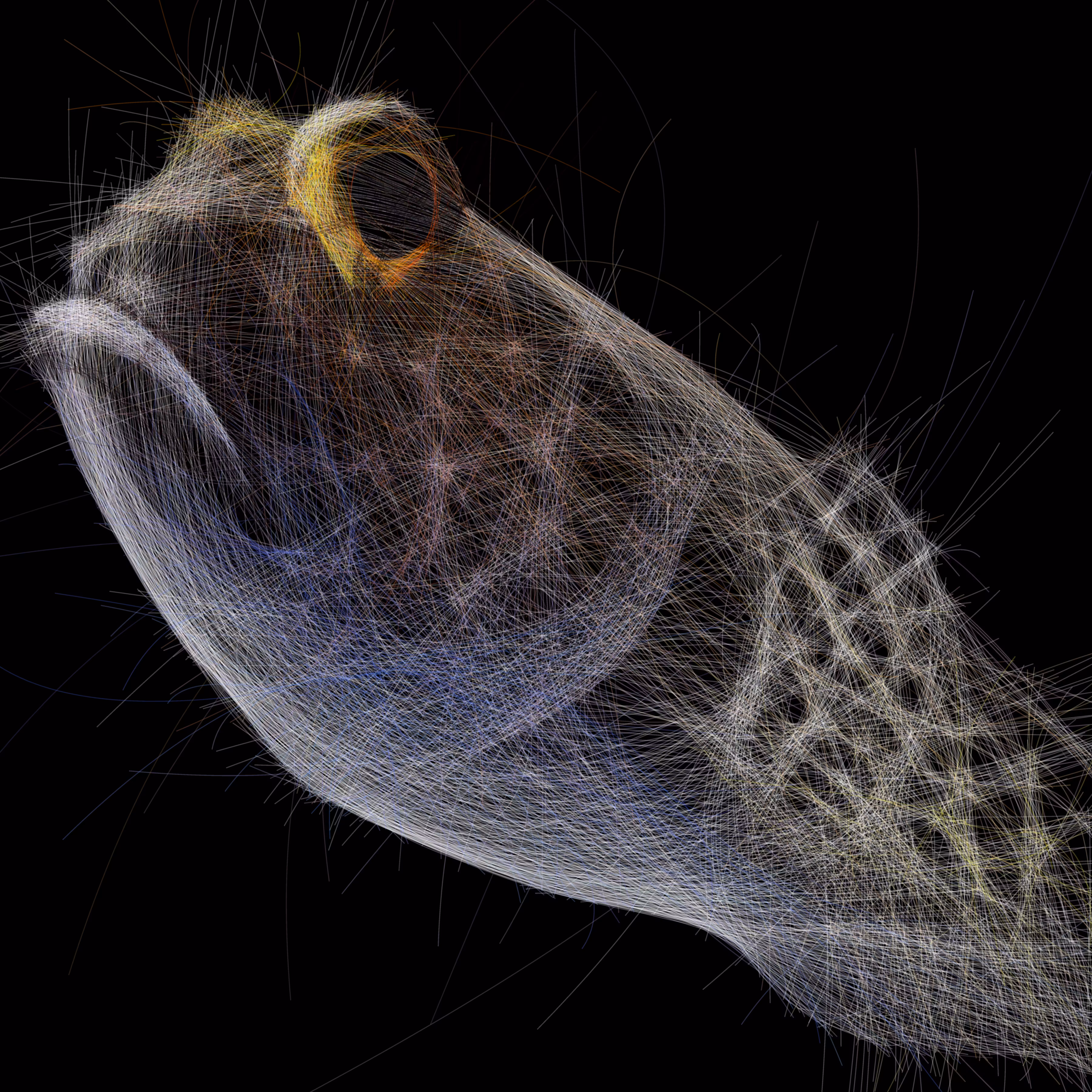 UNDERWATER: Underwater 191