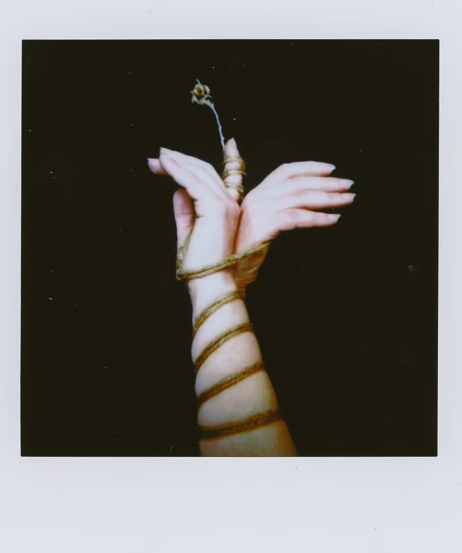 Hands and flowers - Shibari