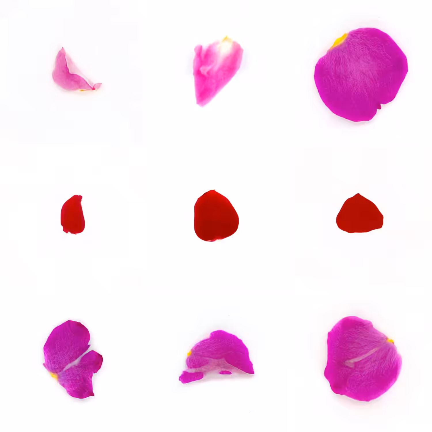Infinite Petals 3x3#20909