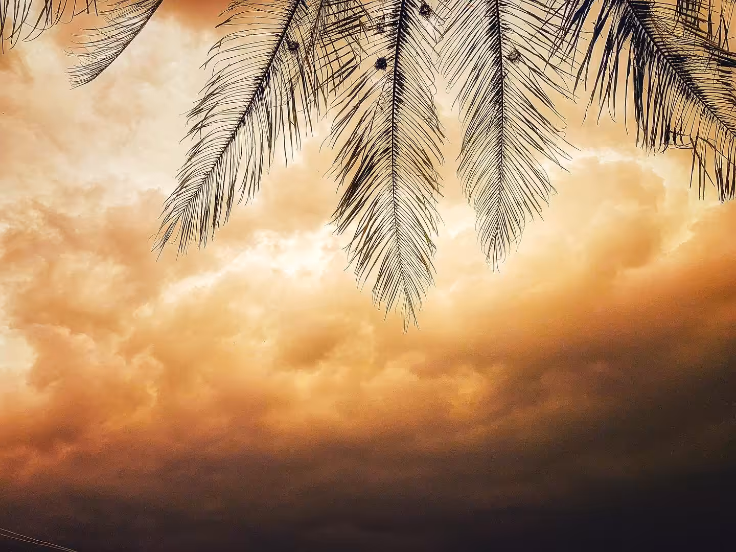 Sand sky