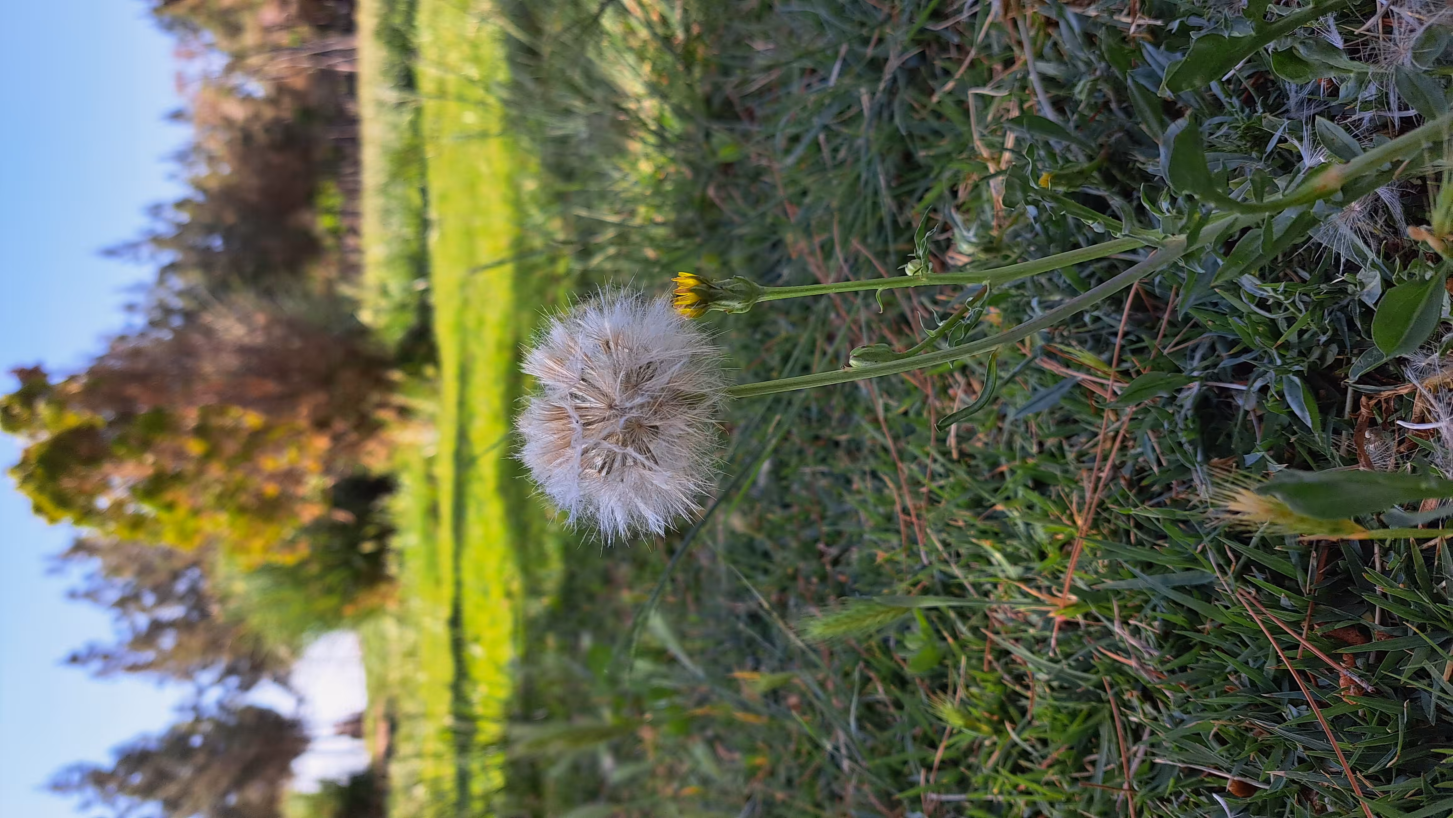 Merrylands.Photography: Merry-Photo 05