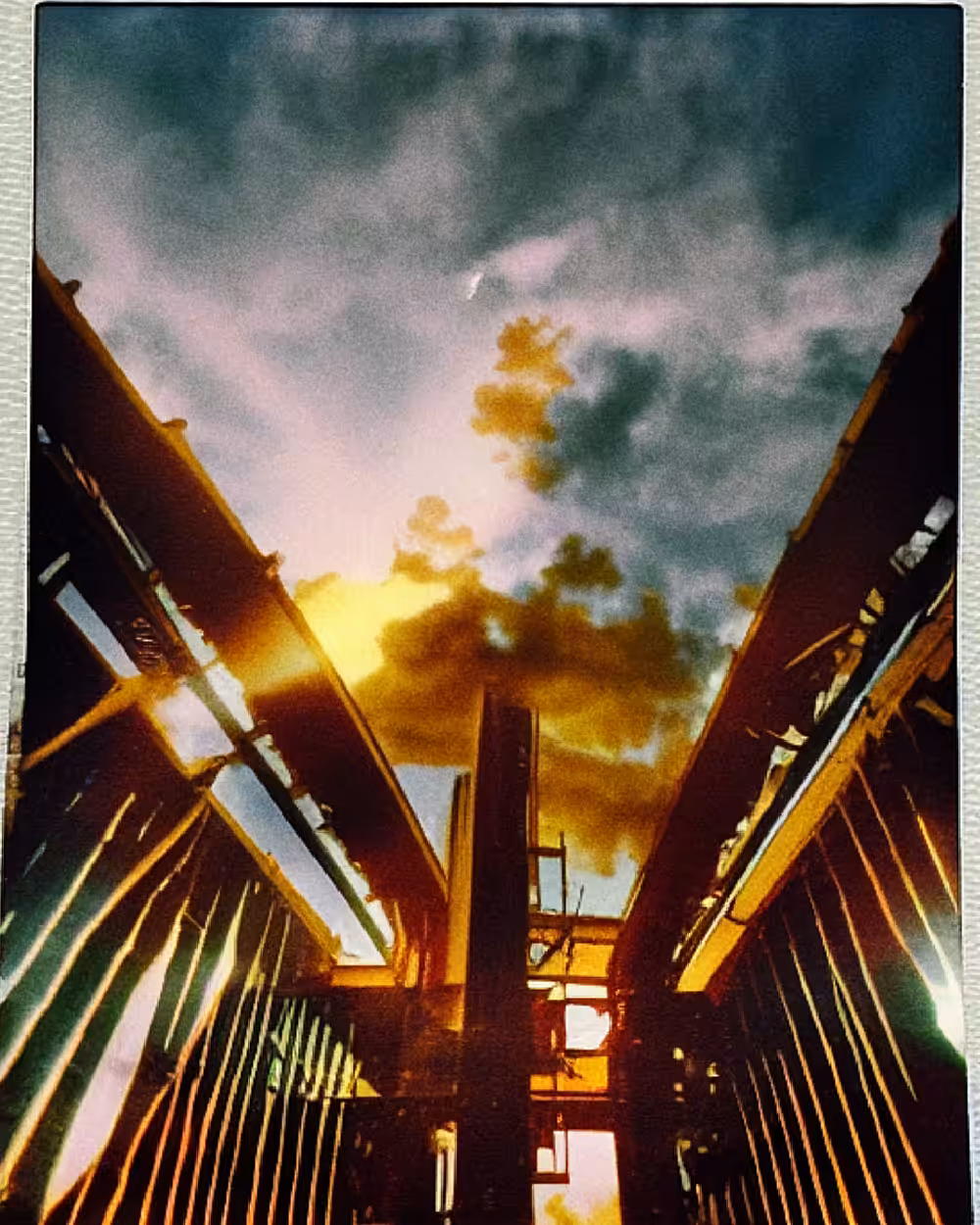Solus (Study 28)