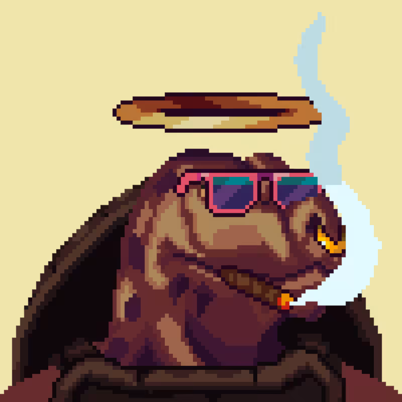 Turtles #18