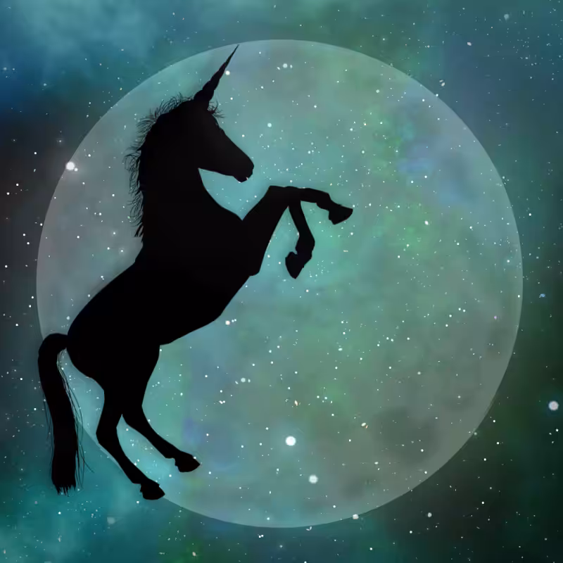 Unicorn #3