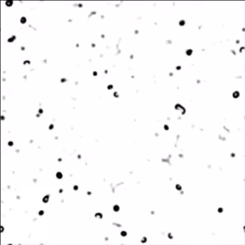 non-equilibrium bubbles: 8