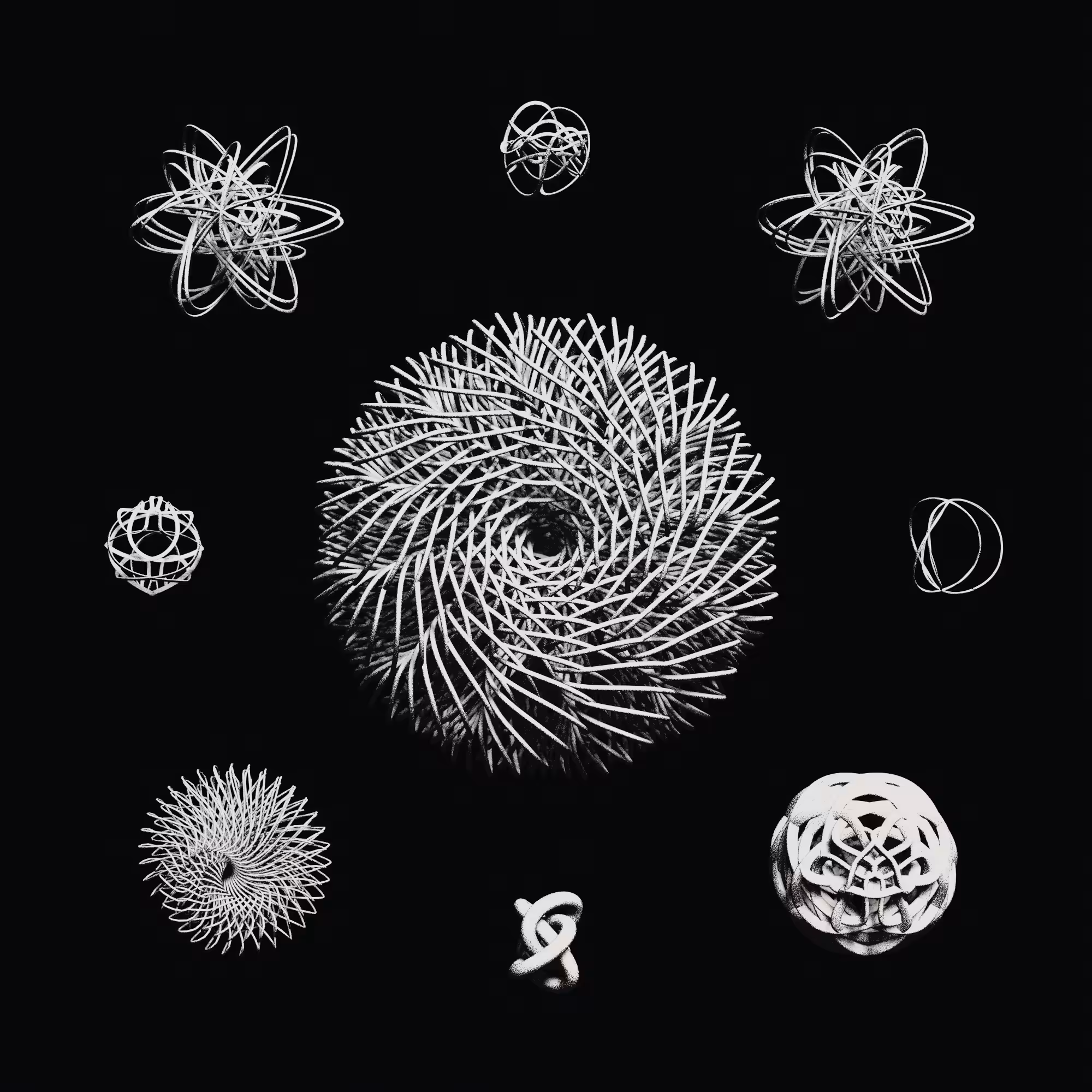 Pi: Torus specimen