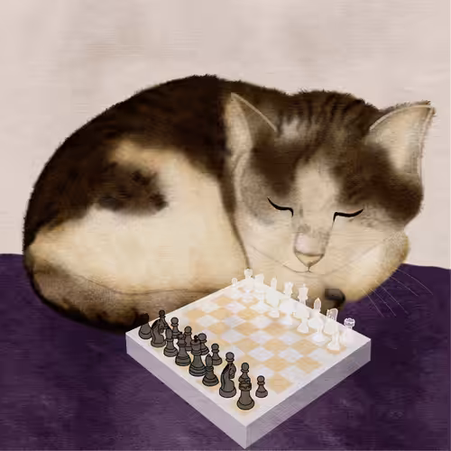Chess player Felicitas von der frohen und hohen Lobe