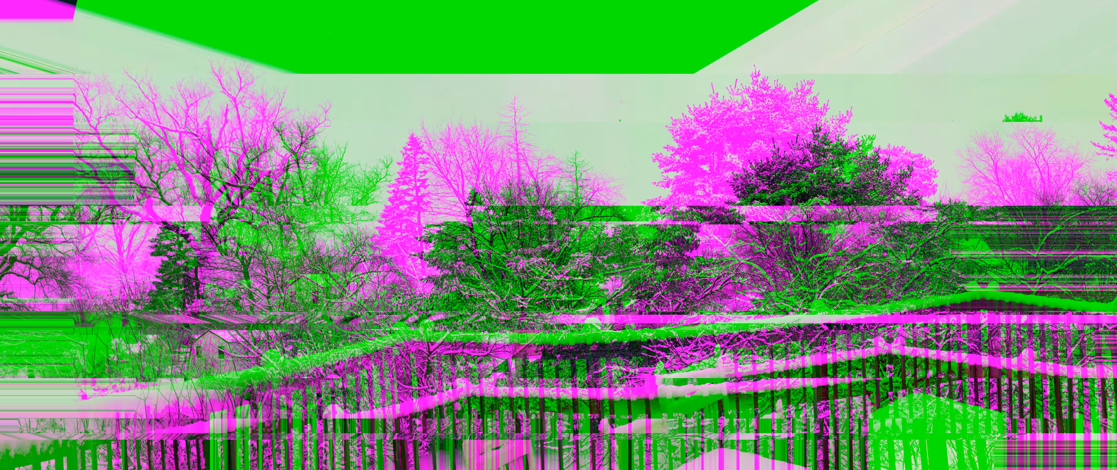 trees