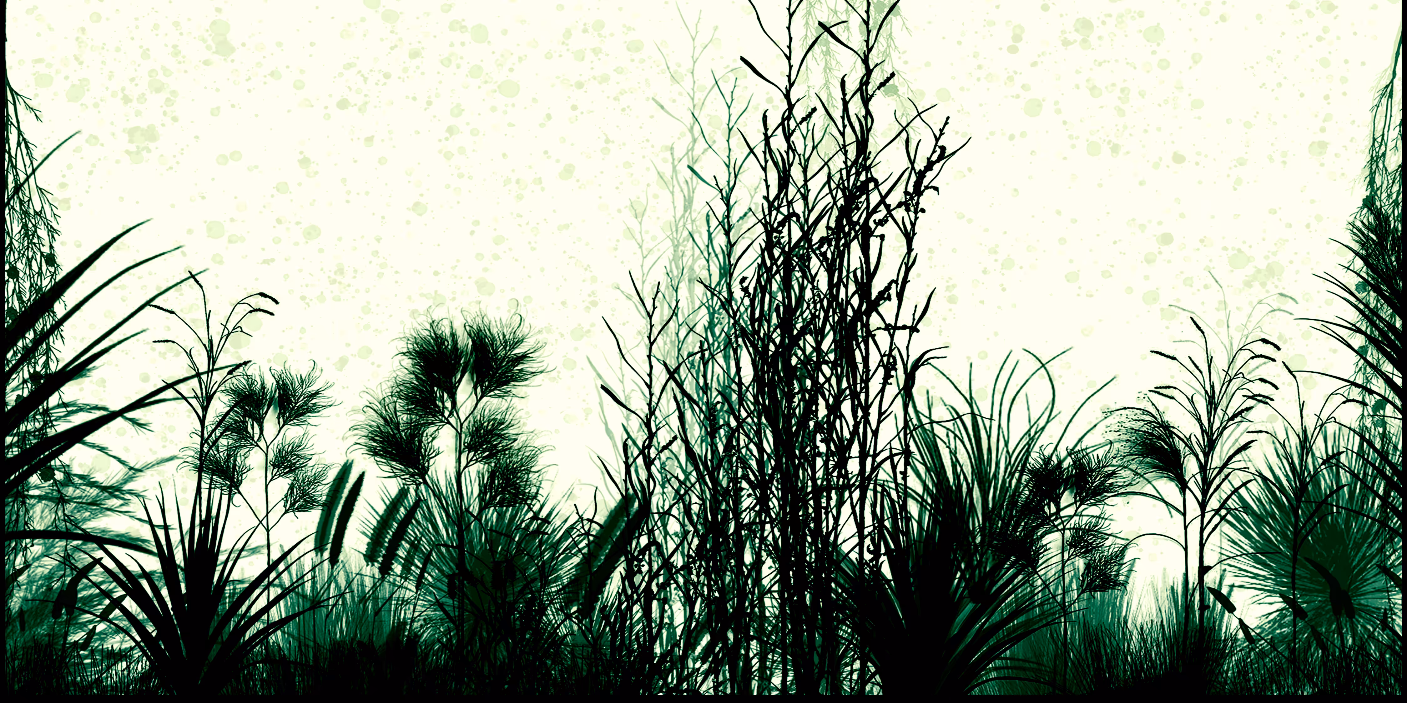 MATURALGARDEN OPHIOPOGON