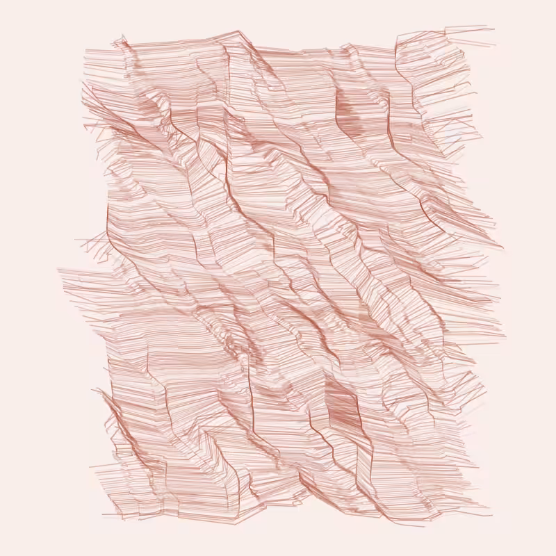 Stratum #5