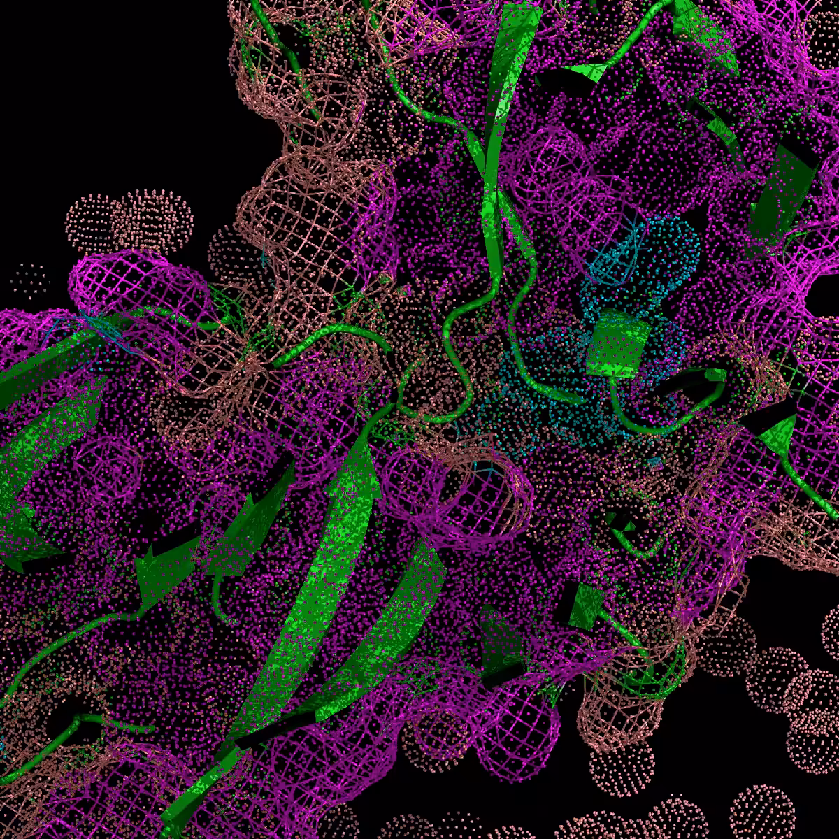 Pepsin 5PEP
