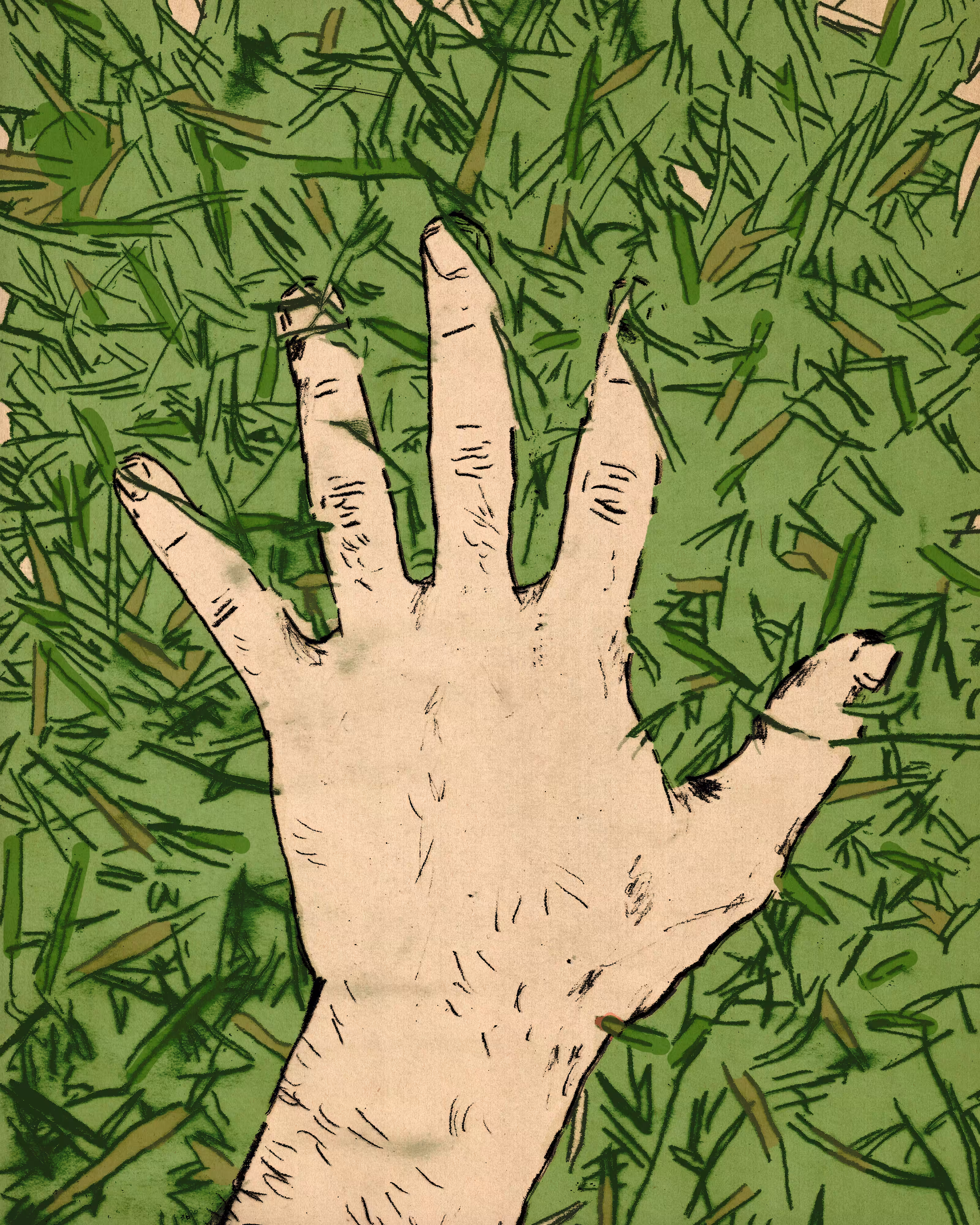 touch the grass