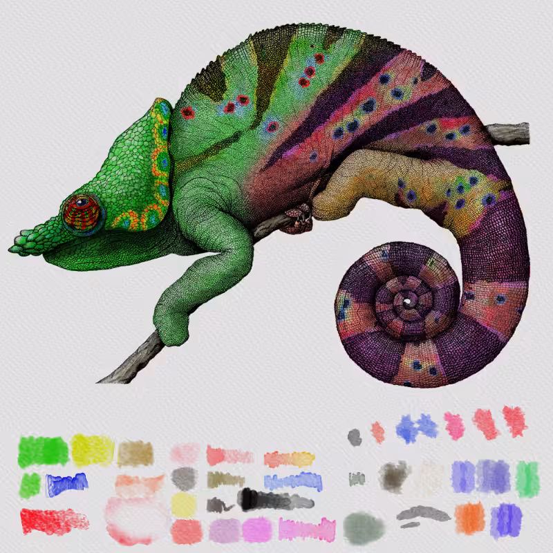 Colorful Cameleon #9