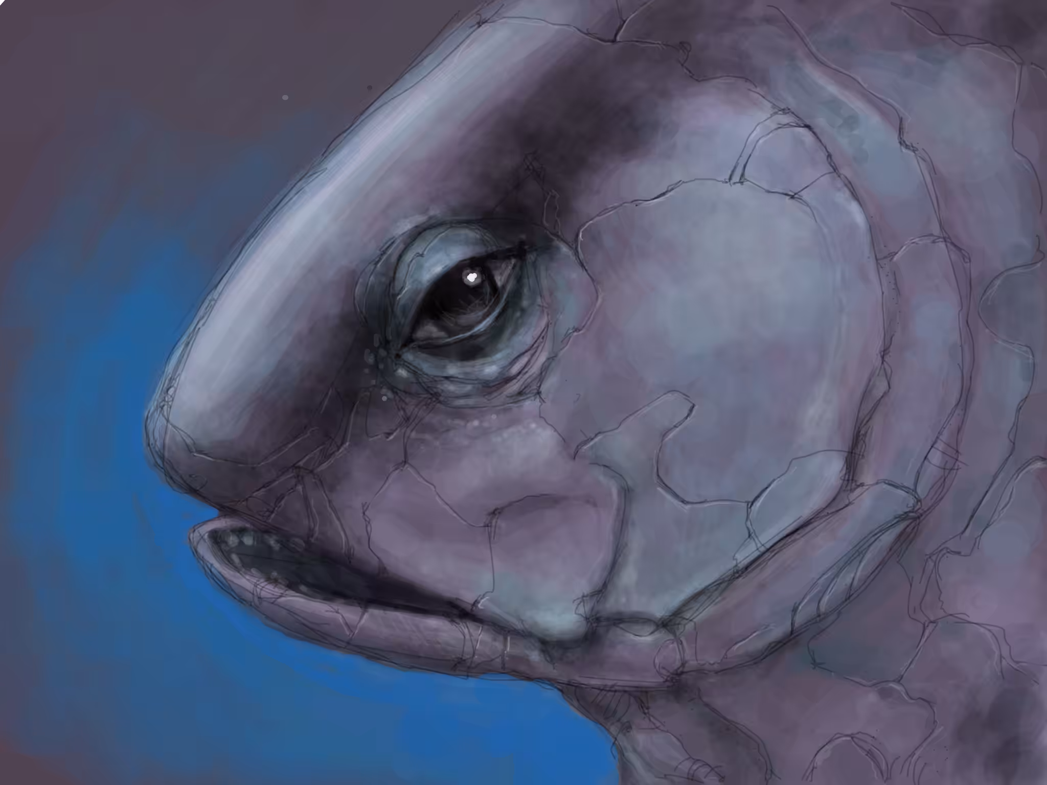 Fish Head