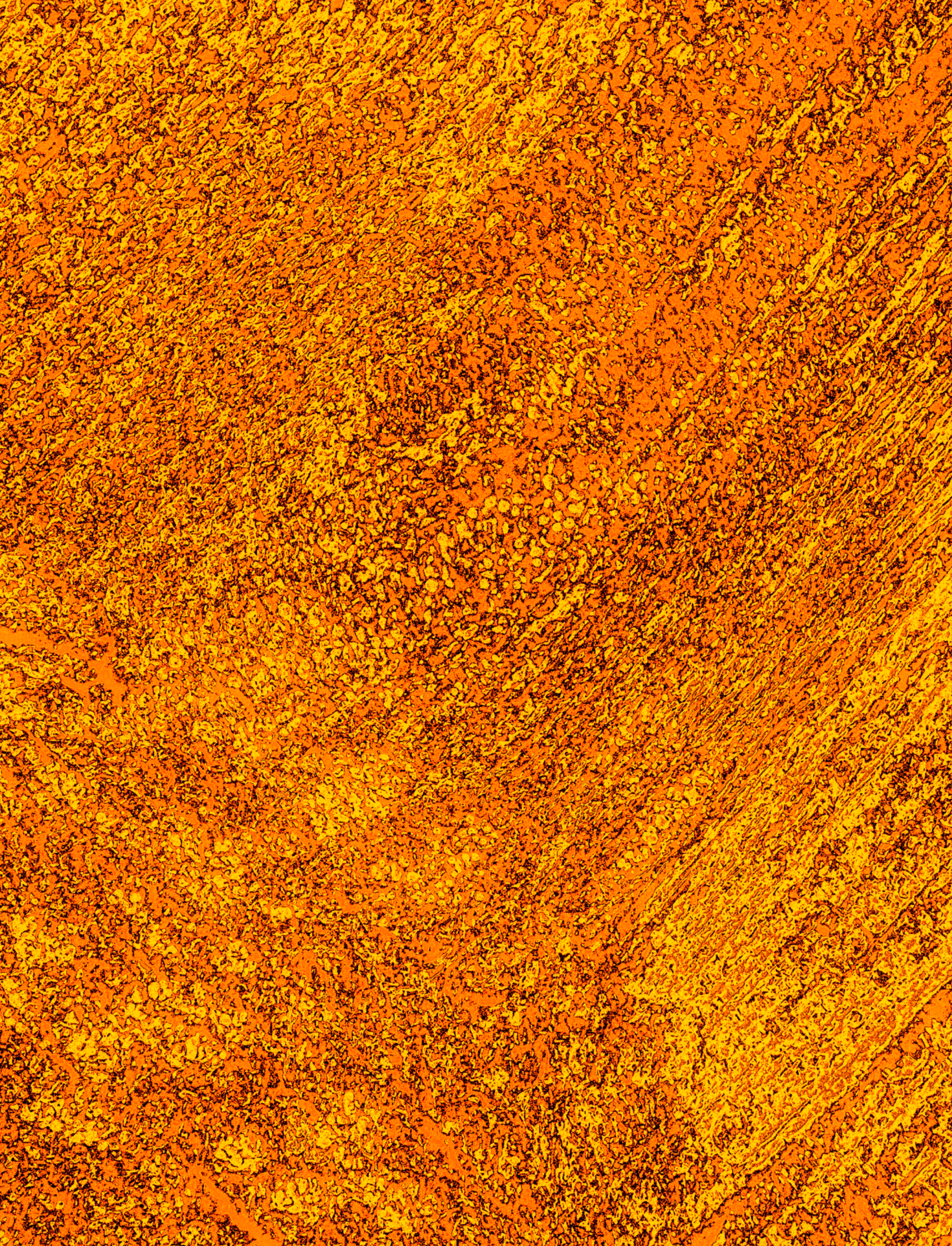 orange yellow black