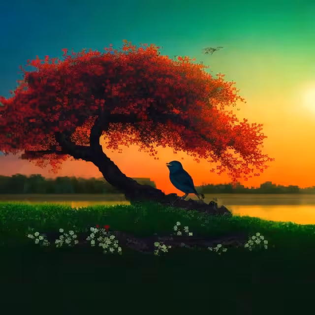 Sunrise