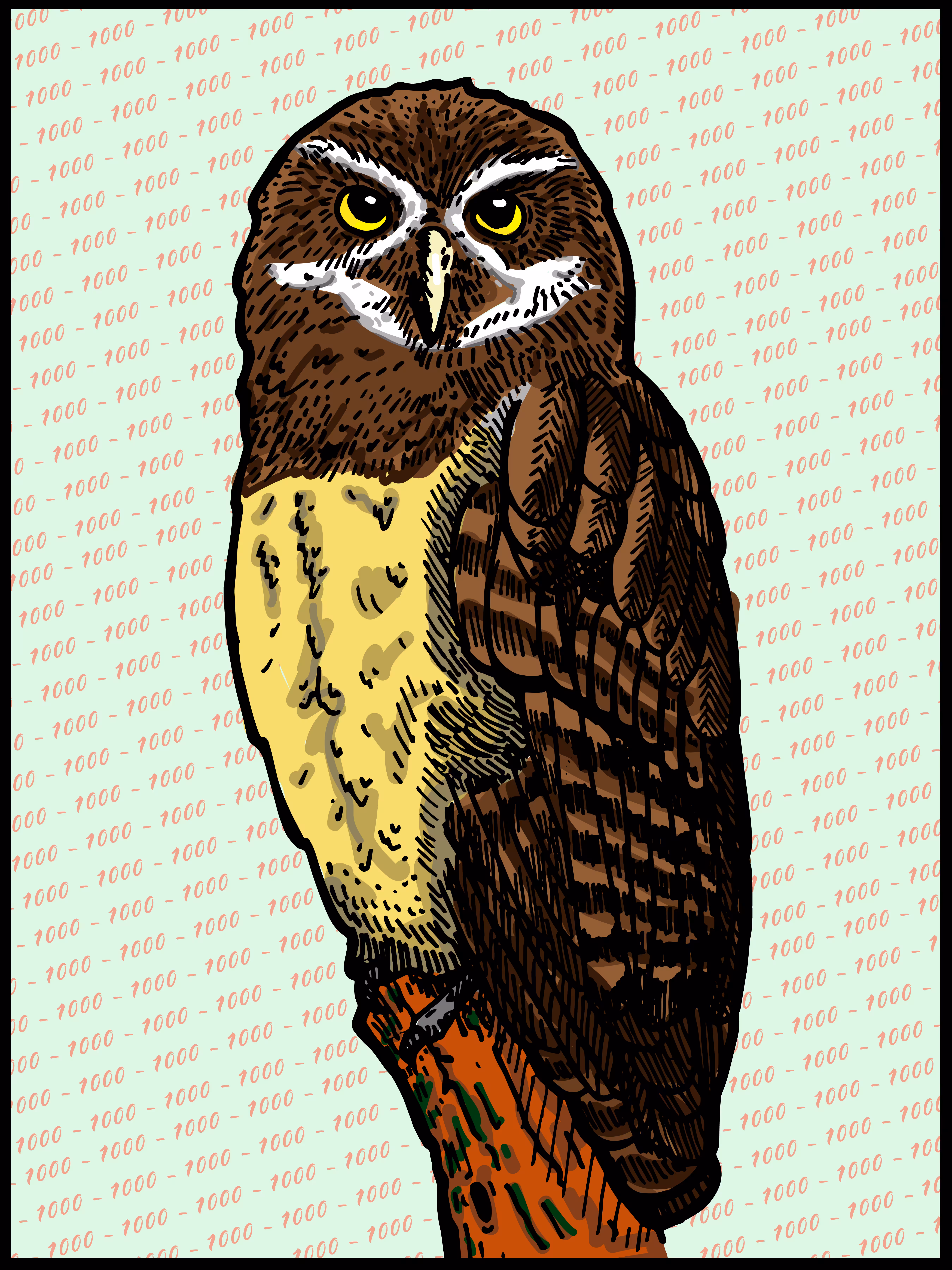 Oropopo (Spectacled owl)
