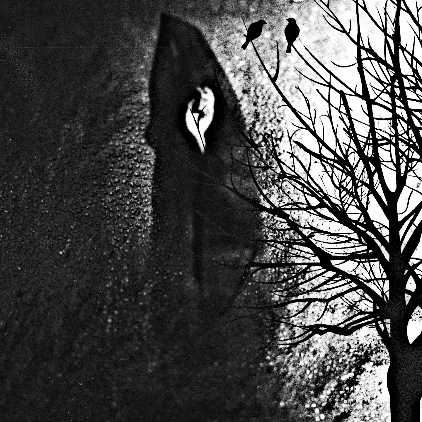 Ghost #17