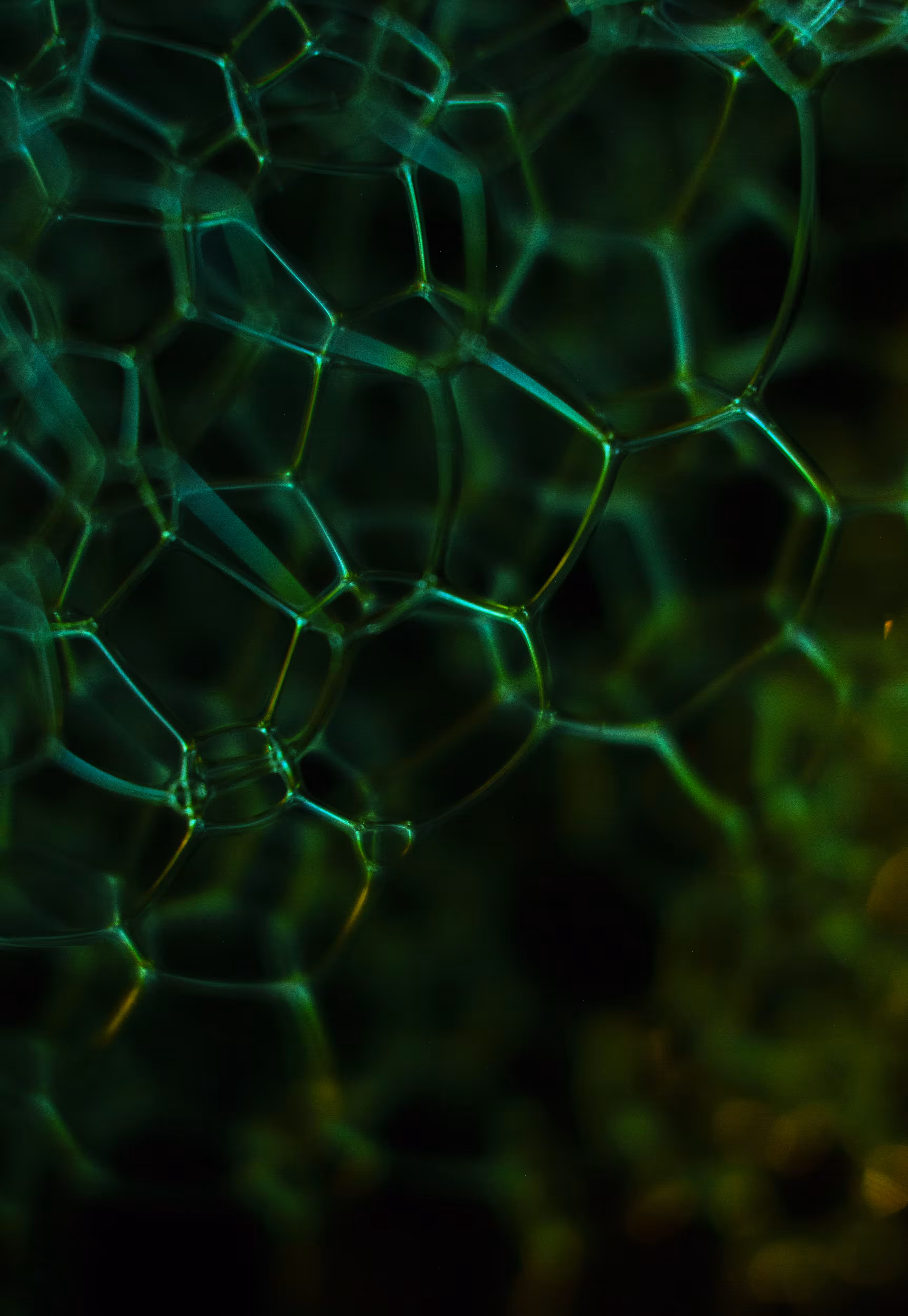 Abstract World of Soap Bubbles: #126 Bubbles
