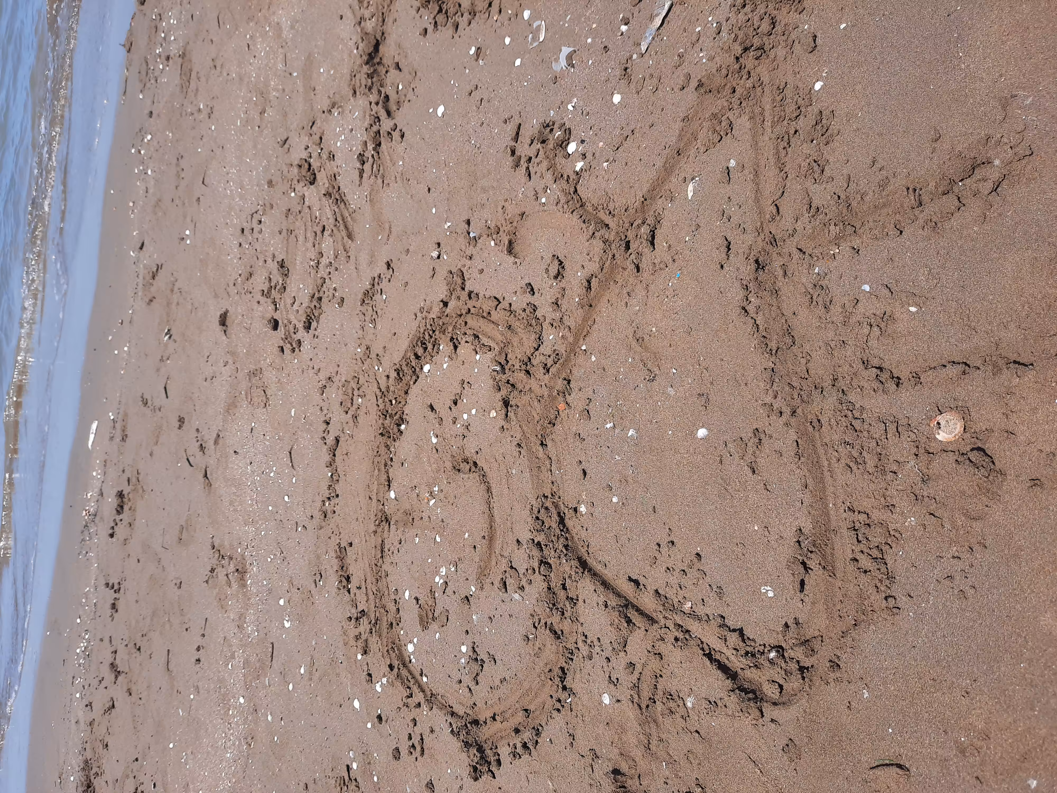 Painting on the beach