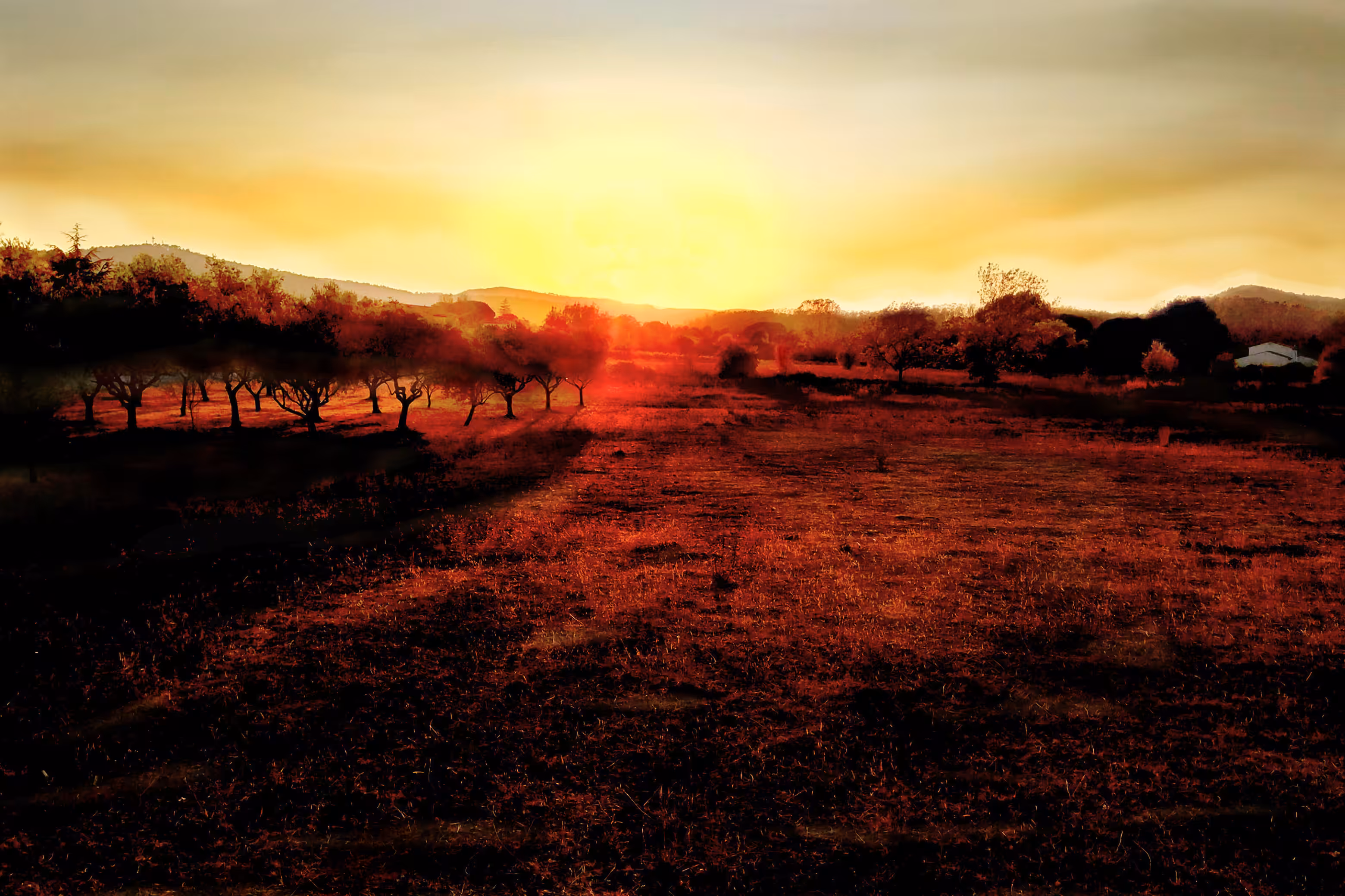 "Crépuscule"