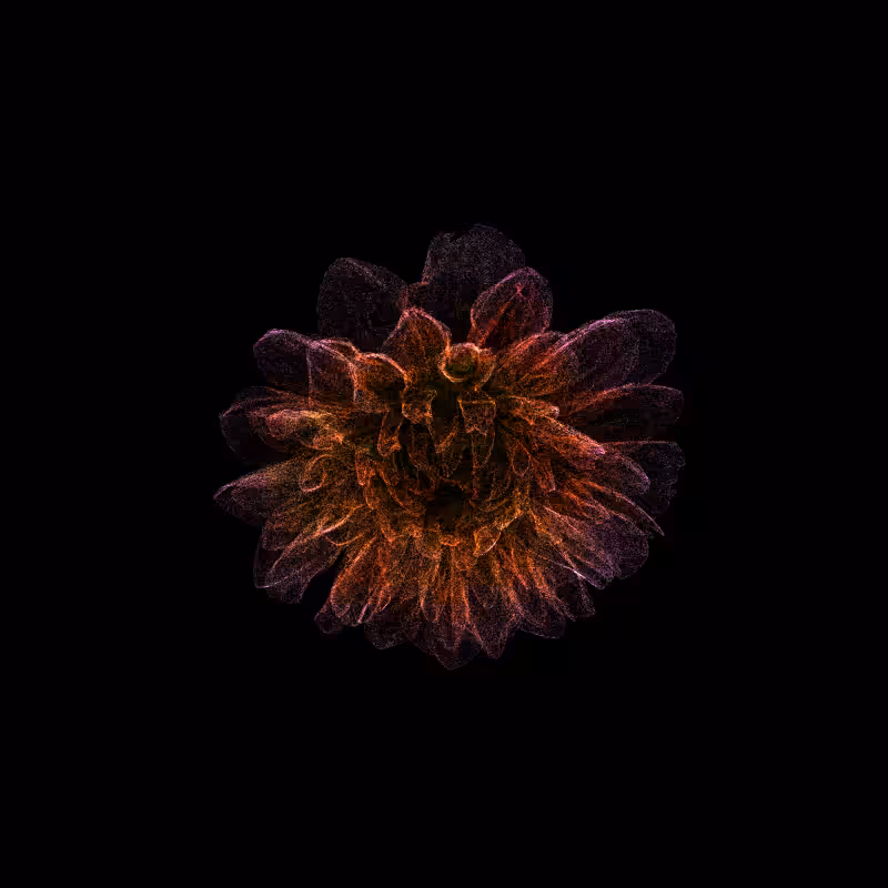 Dahlia Pinnata 30 #276