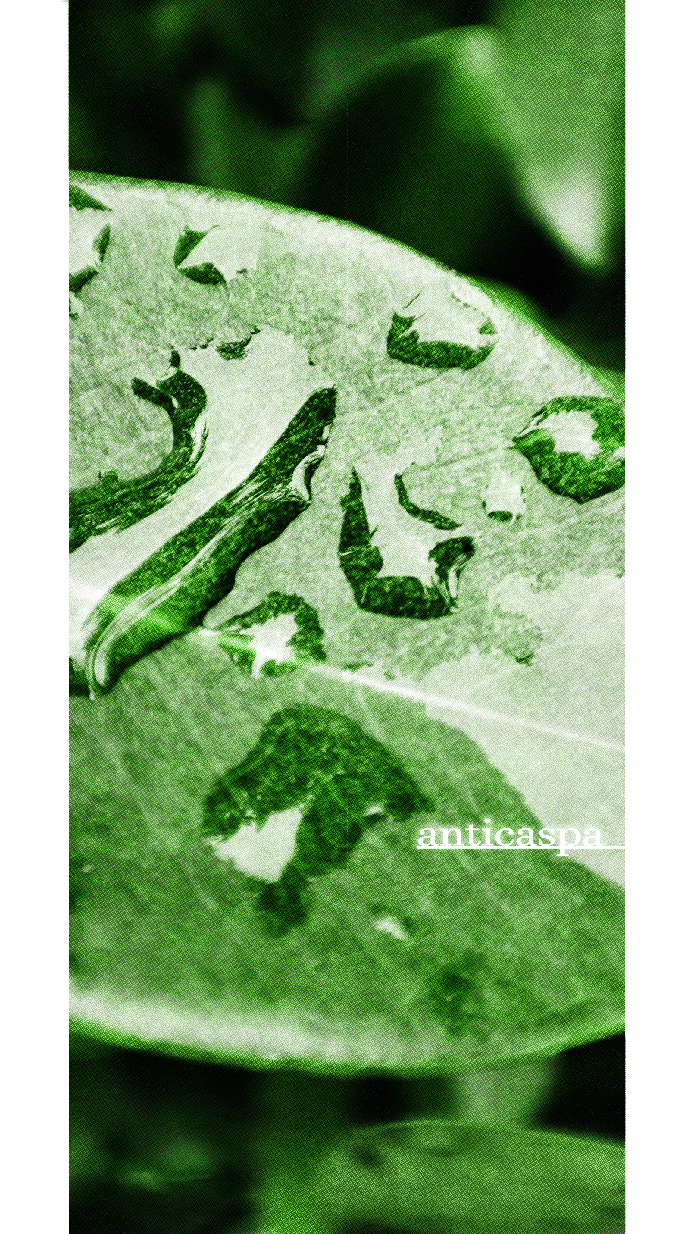 ANTICASPA