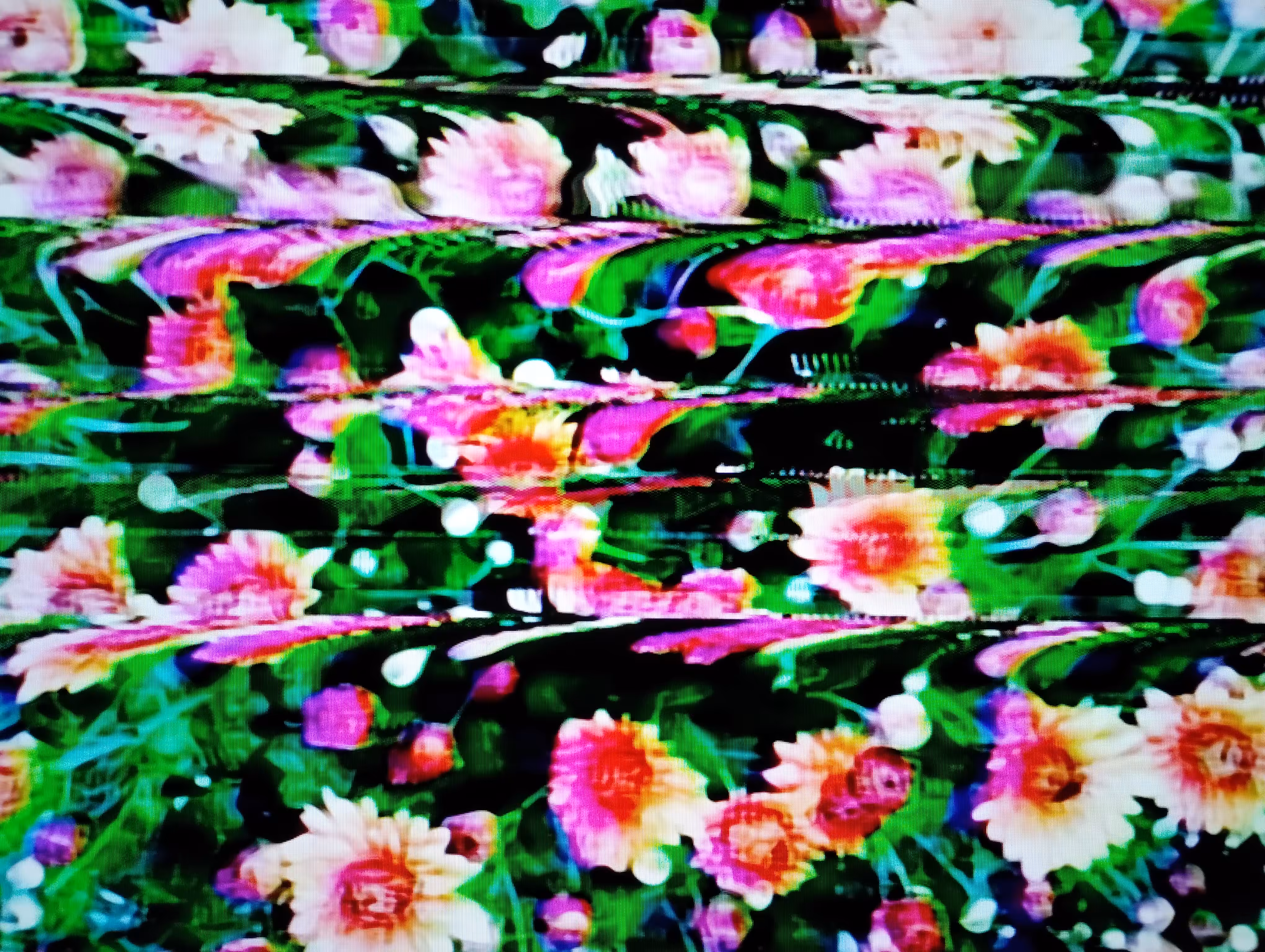 Many flowers
